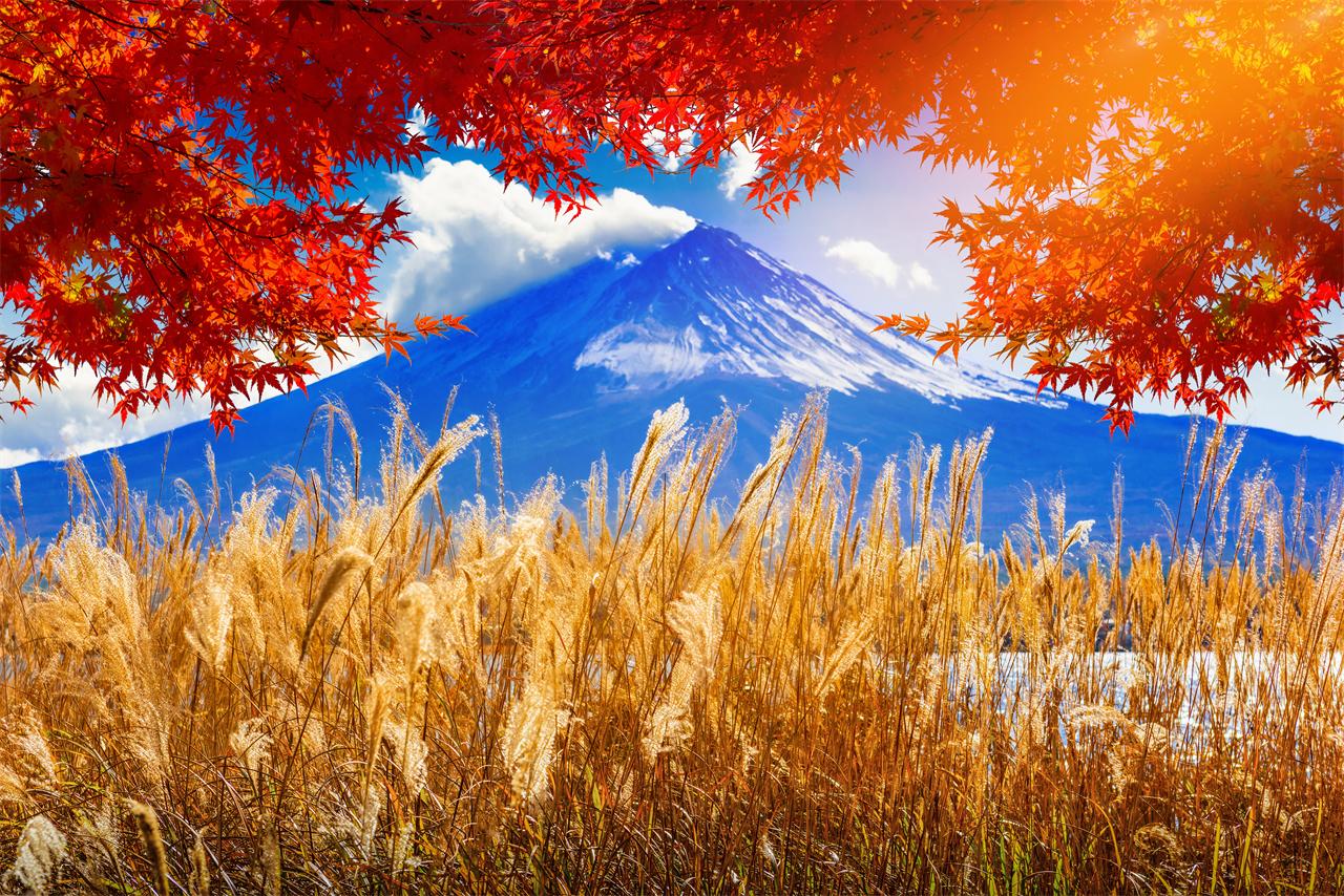 Mt. Fuji & Lake Kawaguchiko Full-Day Tour with Ropeway & Matcha