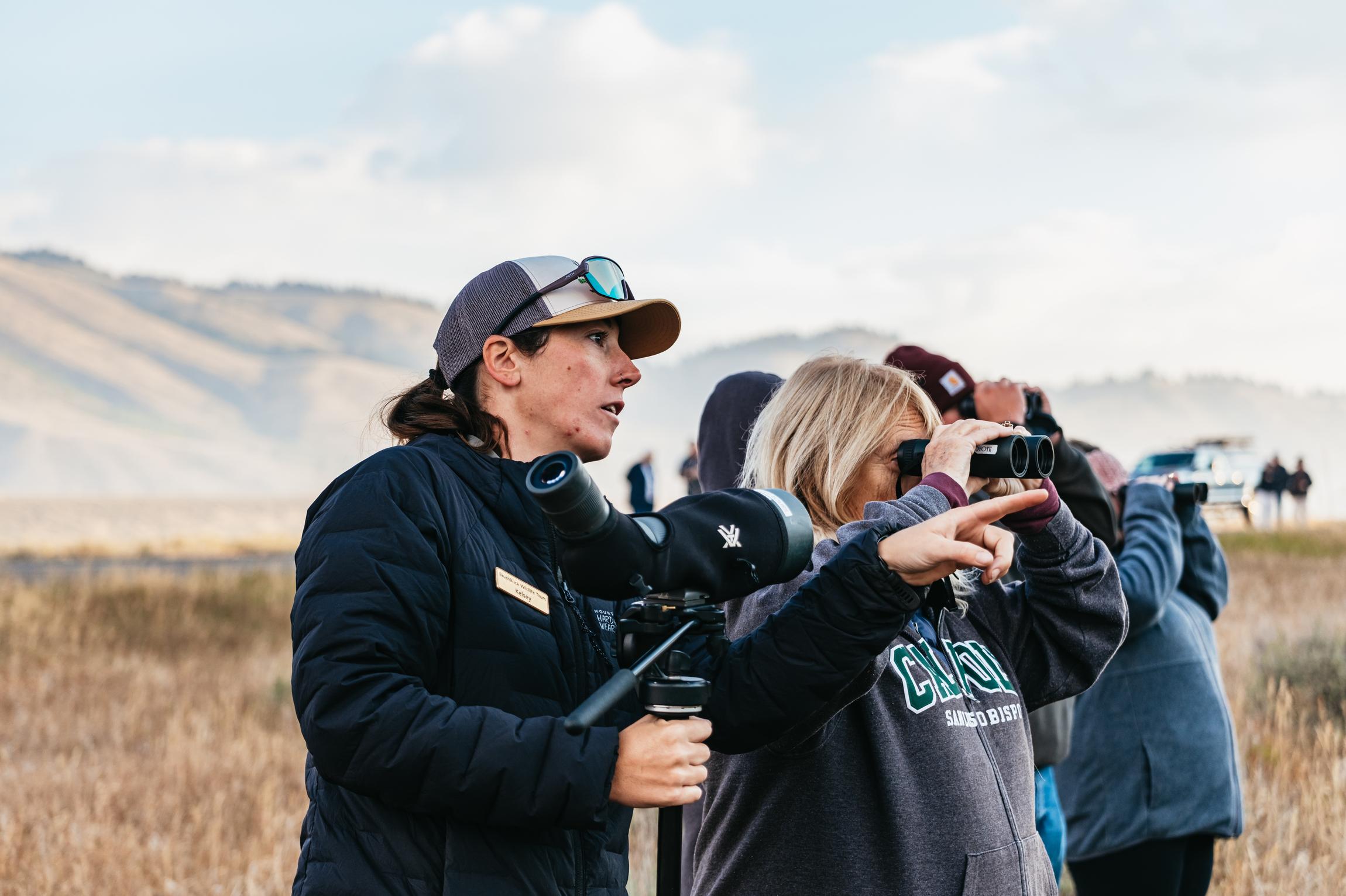 Grand Teton National Park Wildlife Safari