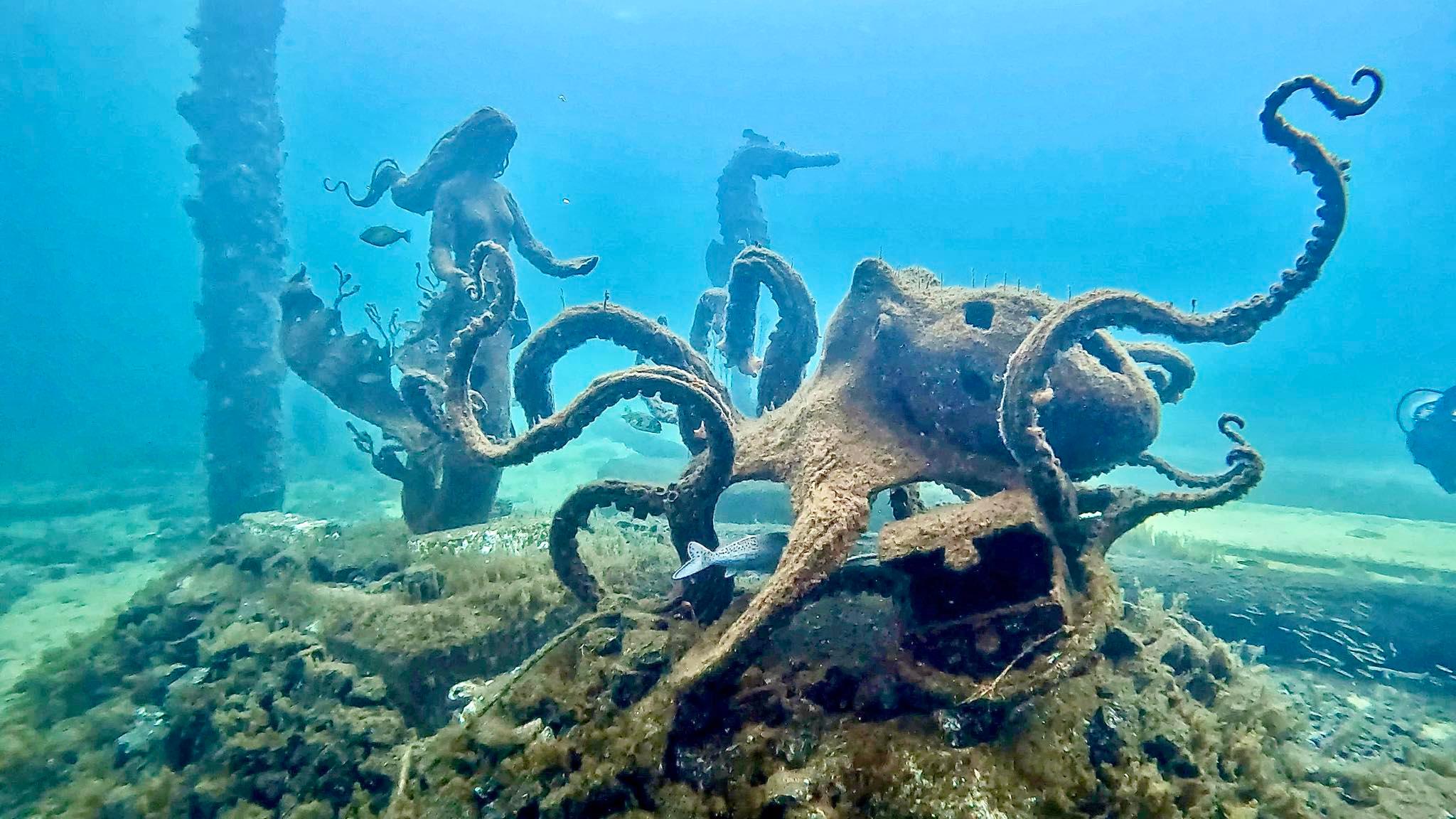 Busselton Jetty Snorkel Adventure with Sculpture Trail