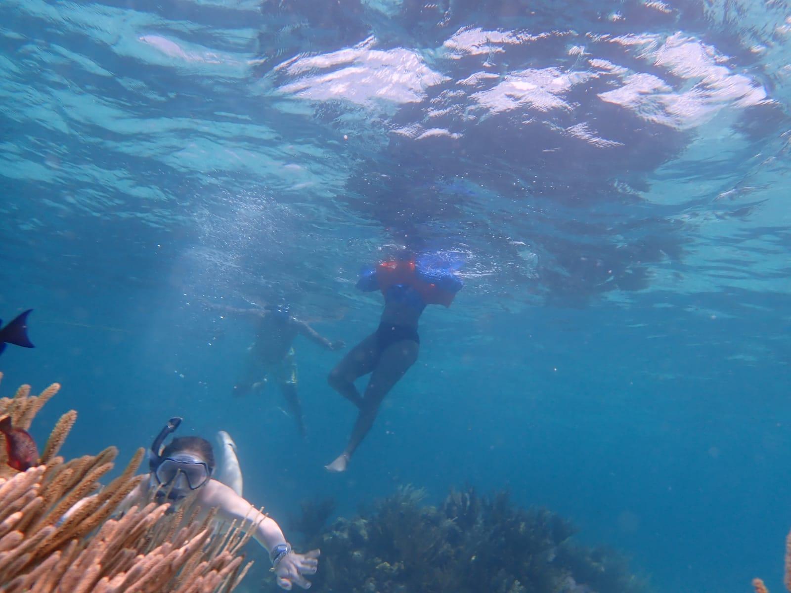 Grand Cayman Reef Snorkeling at Coral Gardens & Reef - 2026 (Verified Reviews)
