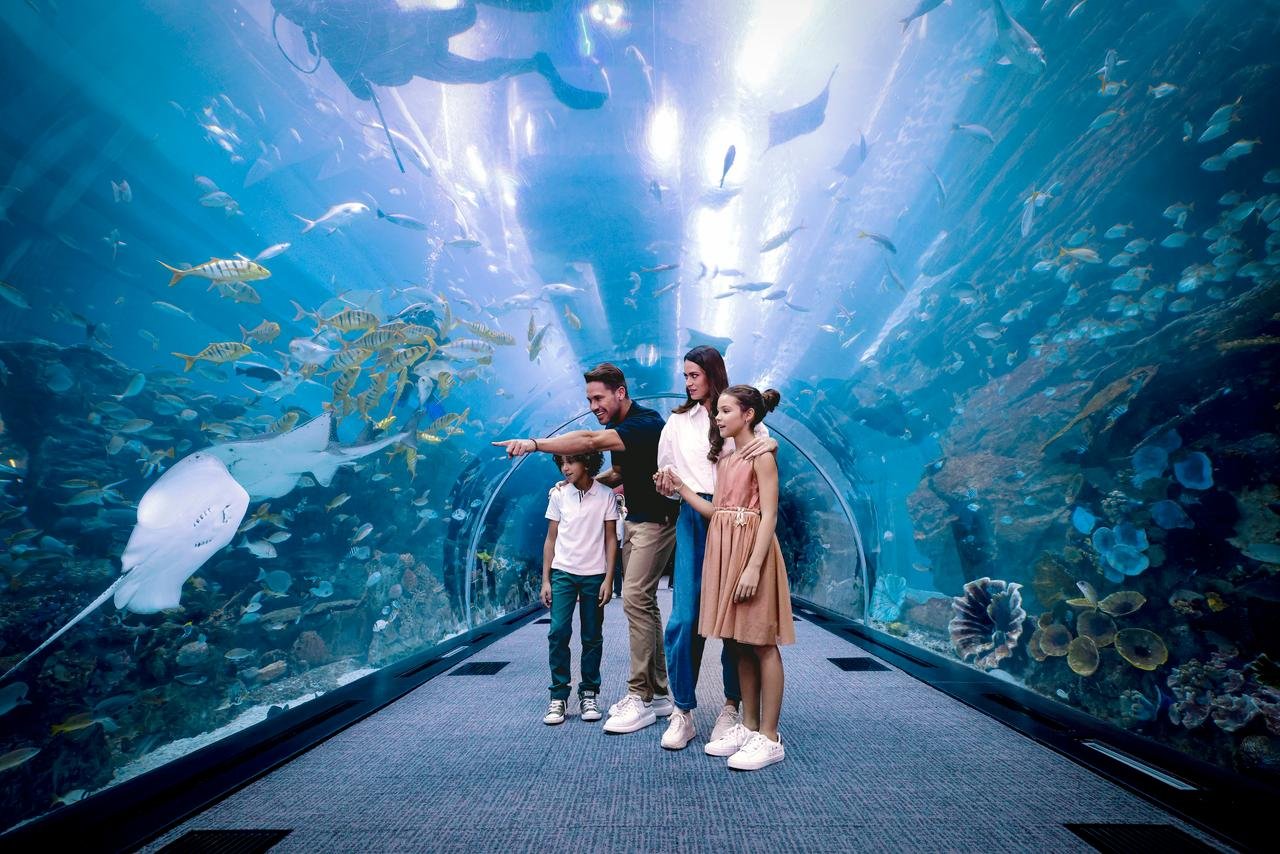 Dubai Aquarium & Underwater Zoo Exploration
