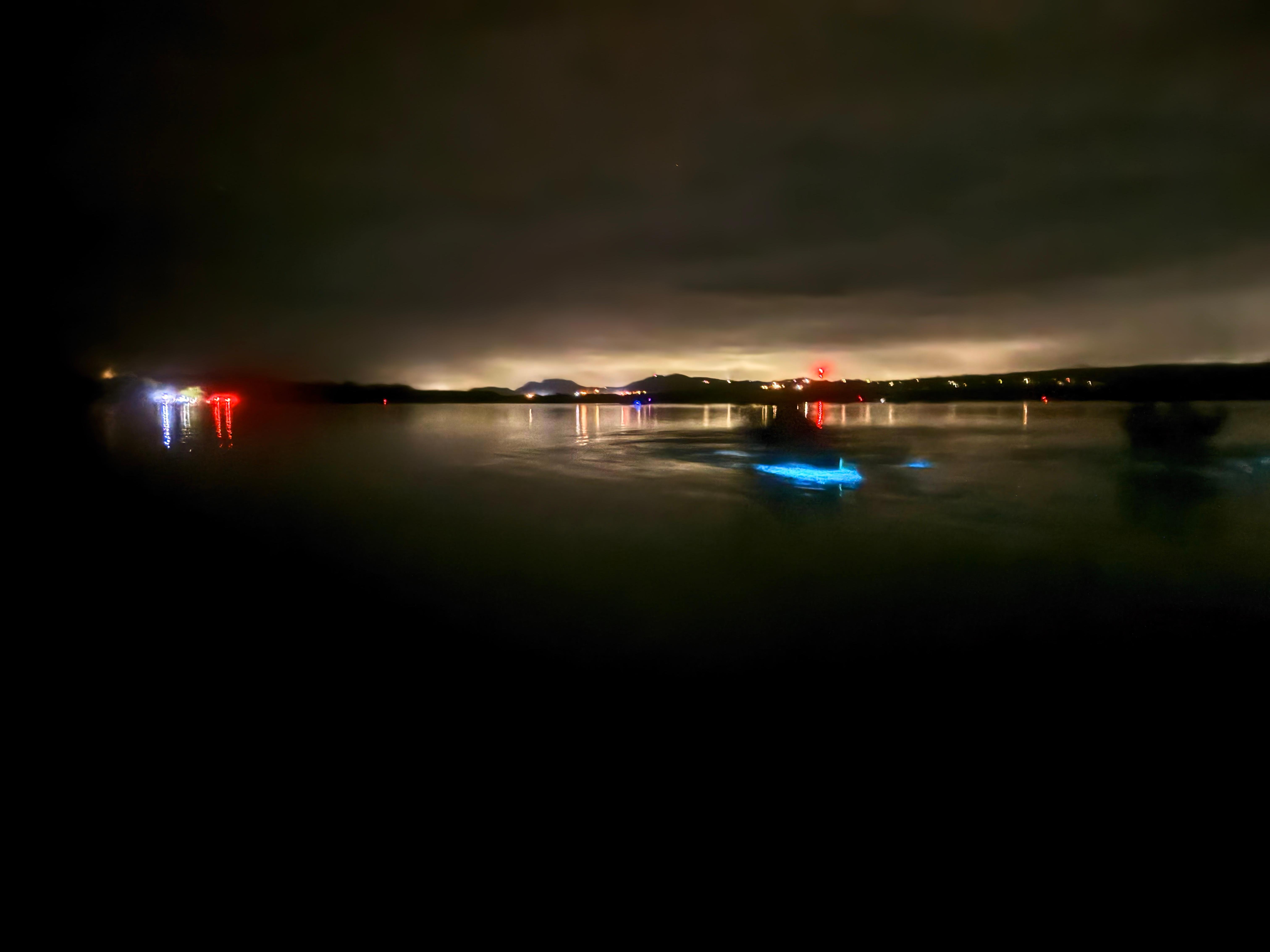 Vieques Bioluminescent Bay Transparent Canoe Adventure