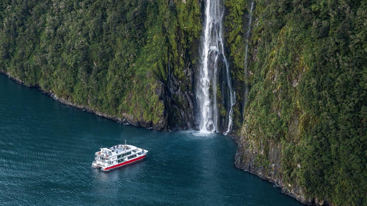 From Queenstown: Milford Sound Day Trip on Premium Coach - 2026 (Verified Reviews)