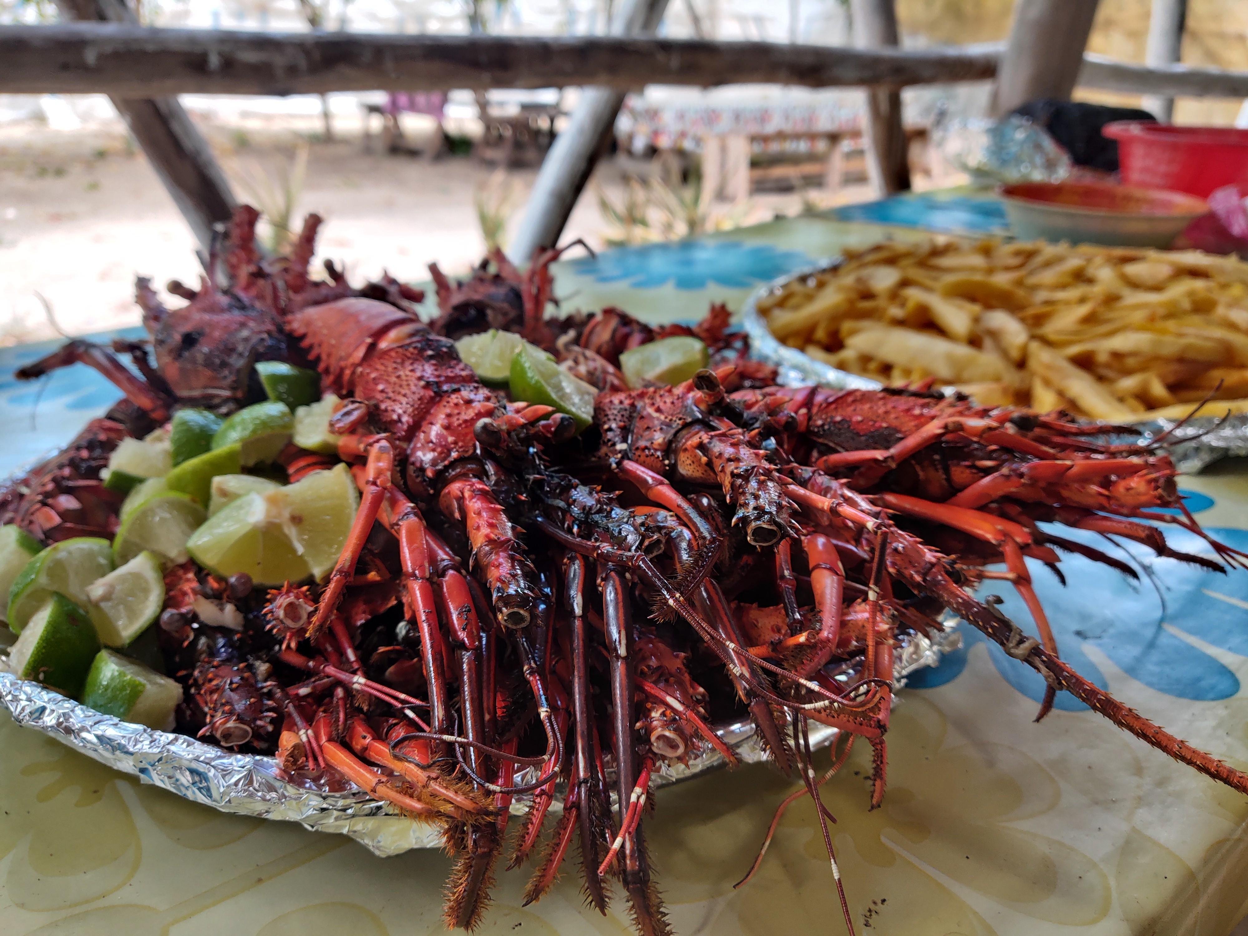 Zanzibar Mnemba Island Snorkeling & Boat Tour with Lunch