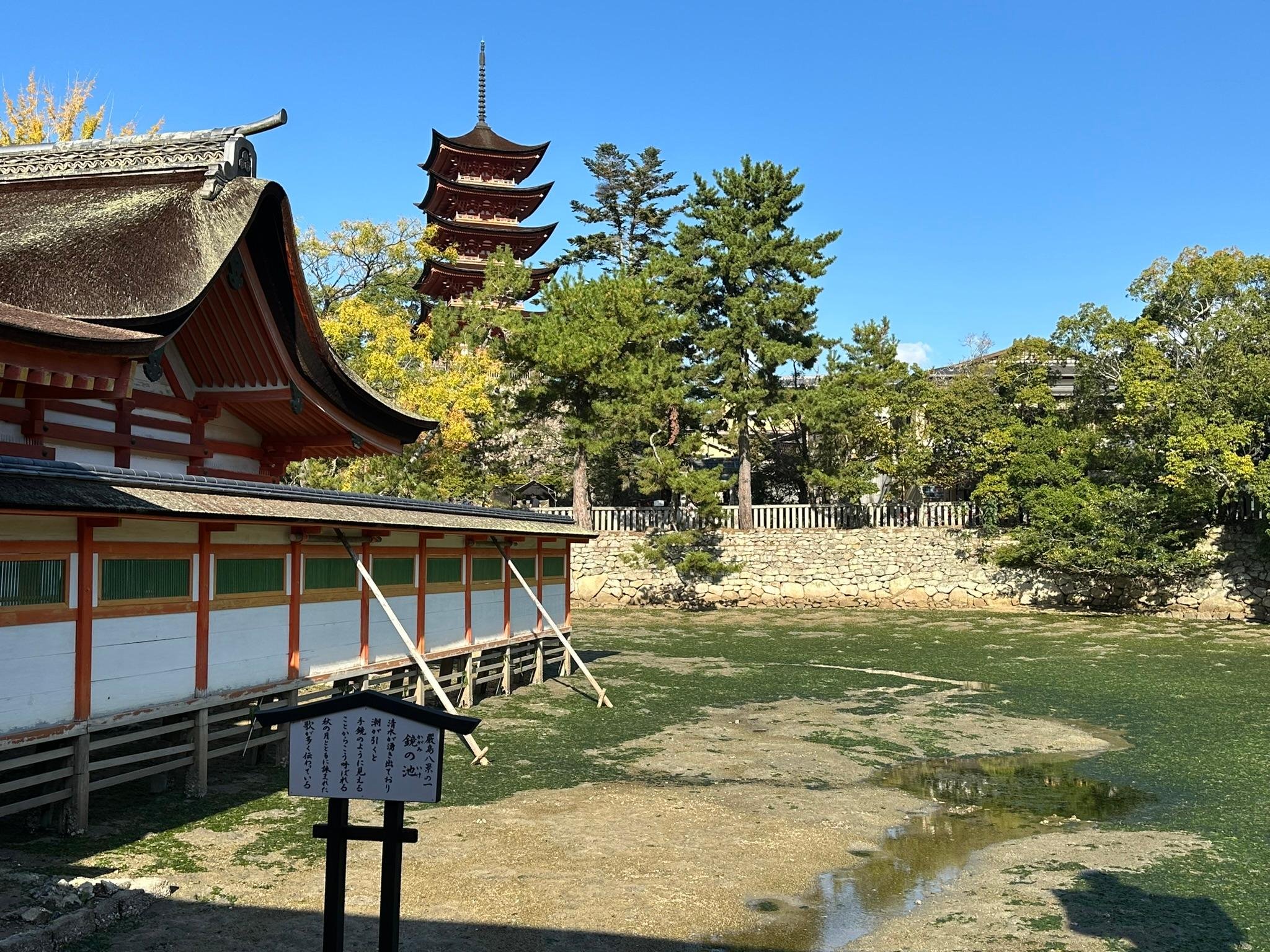 Osaka experience, image 63