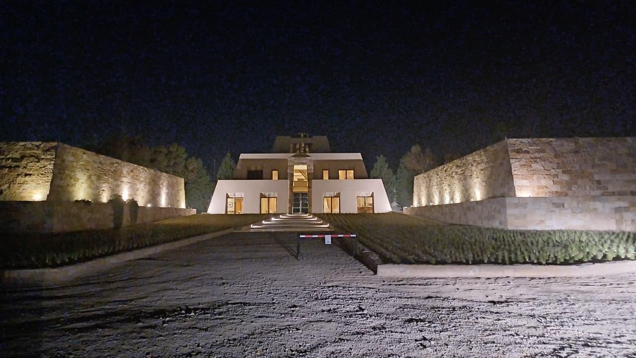 Private Executive Wine Tour: Mendoza's Premium Estates