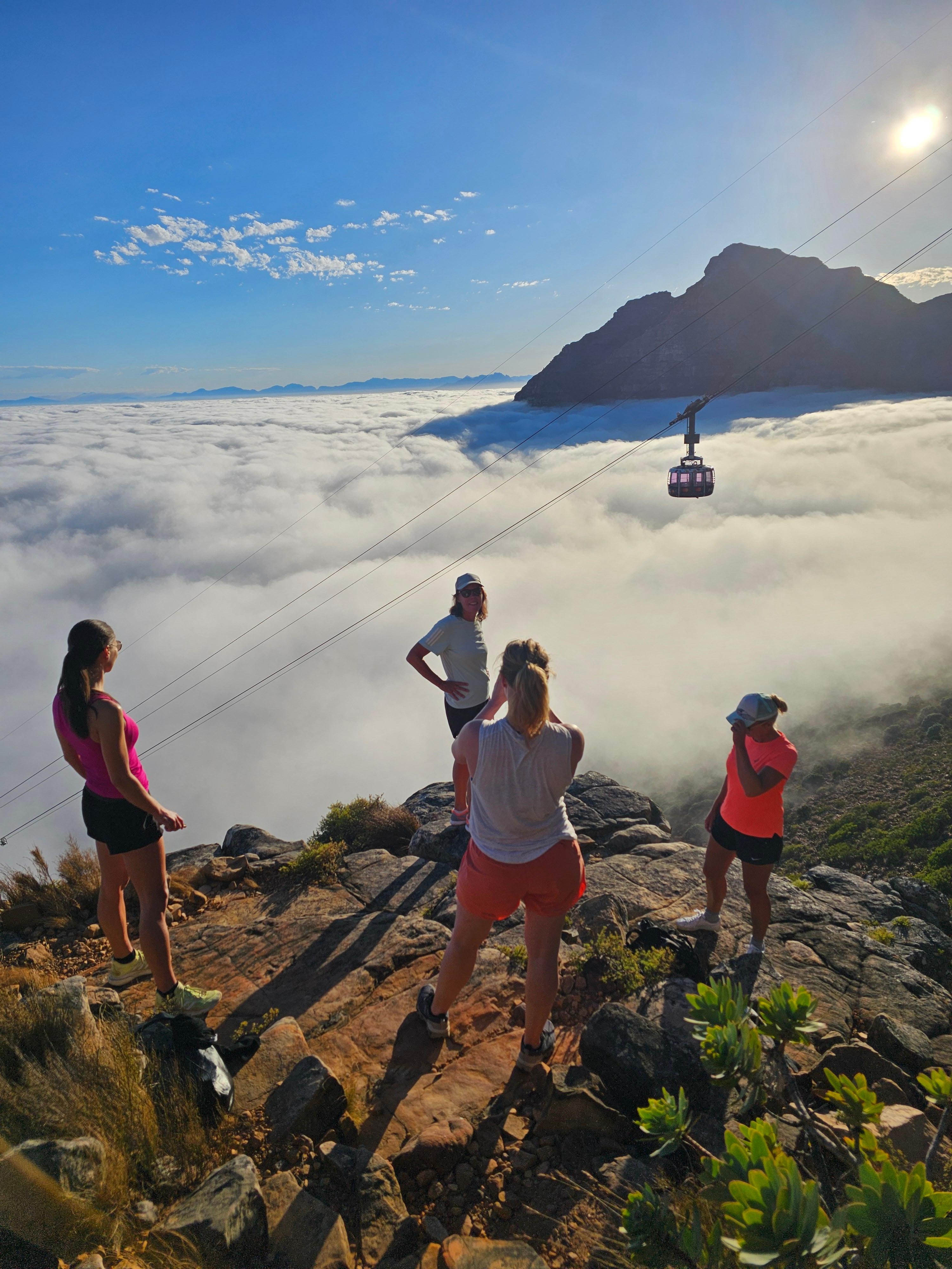 Table Mountain Guided Hike with Cable Car Descent