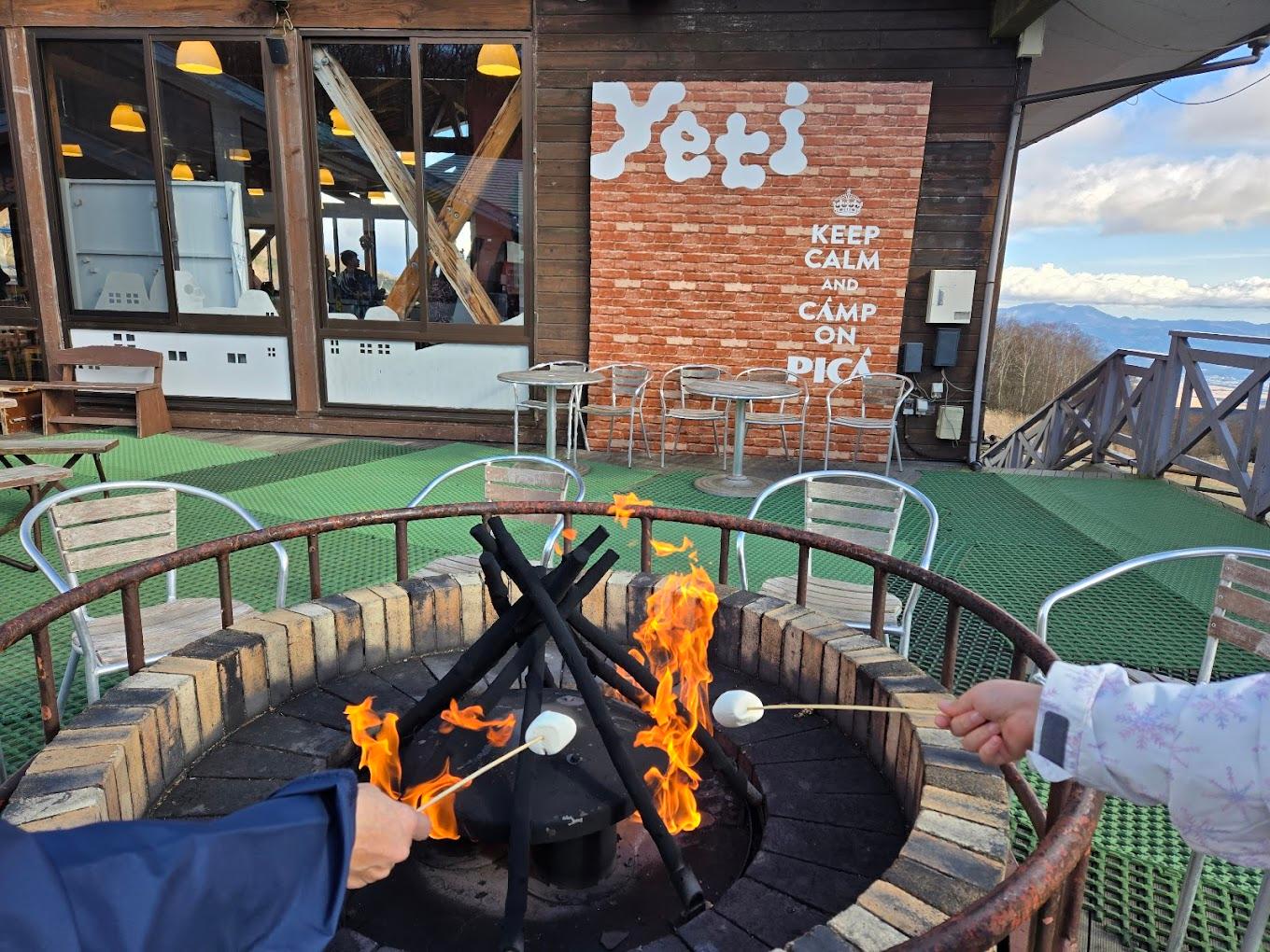 Mount Fuji Snow Day: Skiing & Winter Fun at Yeti Resort from Tokyo