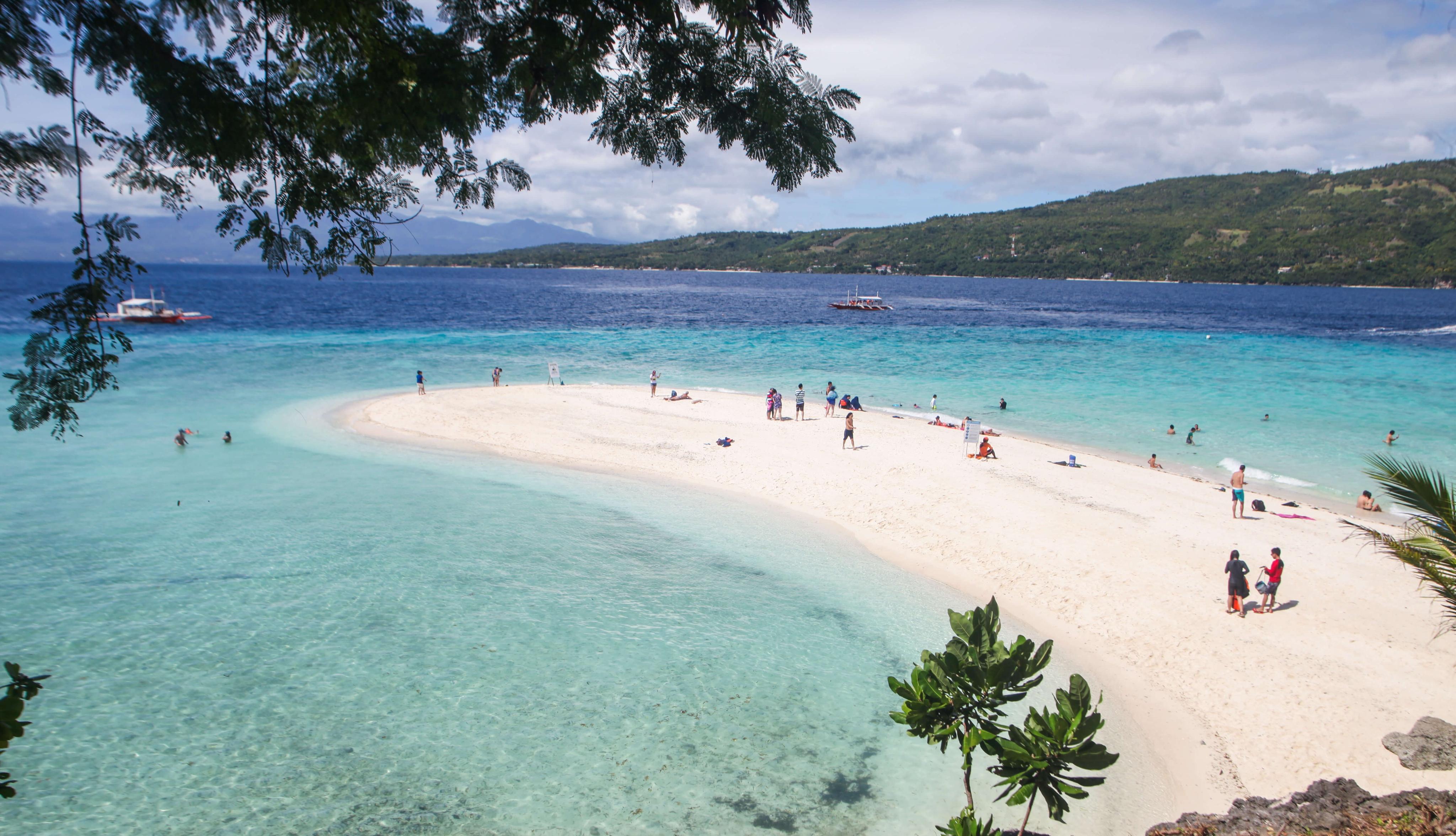 Cebu Triple Wonder: Whale Sharks, Sumilon Sandbar & Tumalog Falls