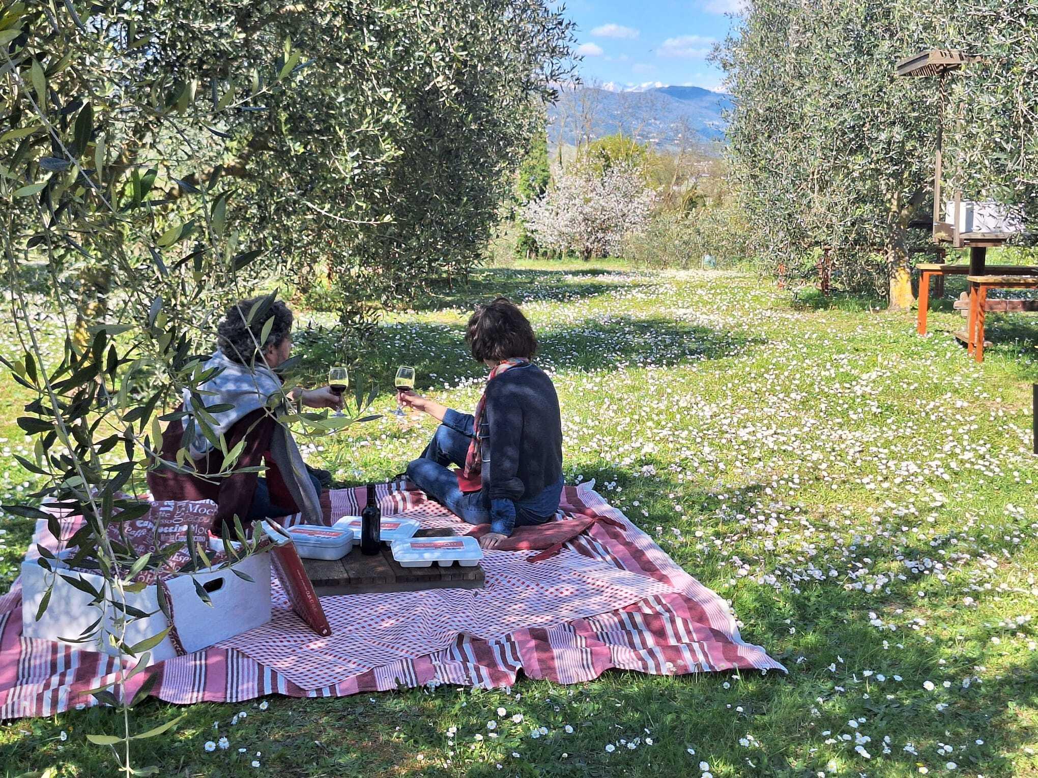 Vineyard Picnic with Tuscan Wine & Local Produce