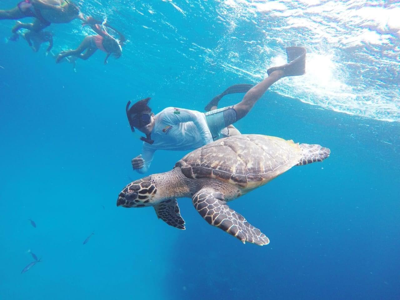 Cozumel Three-Reef Snorkeling Adventure