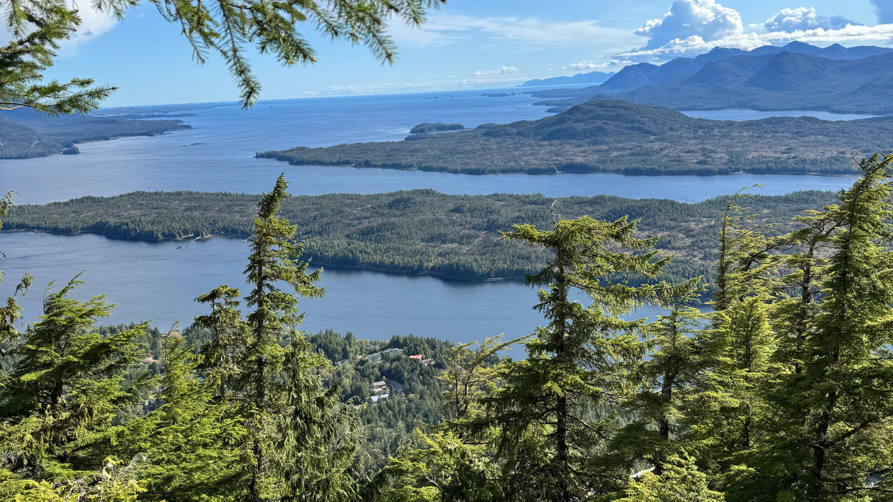 Premium Rainforest Experience in Ketchikan