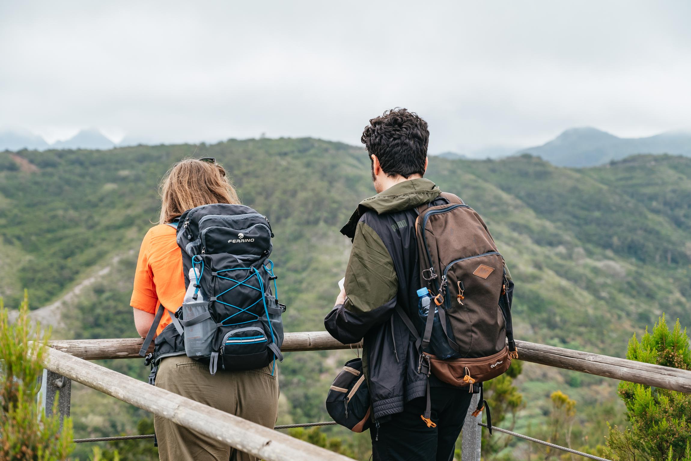 La Gomera Island Full-Day Expedition from South Tenerife