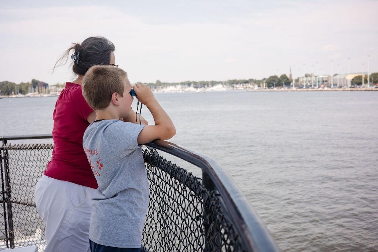 Annapolis Harbor Sunset Sailing Experience