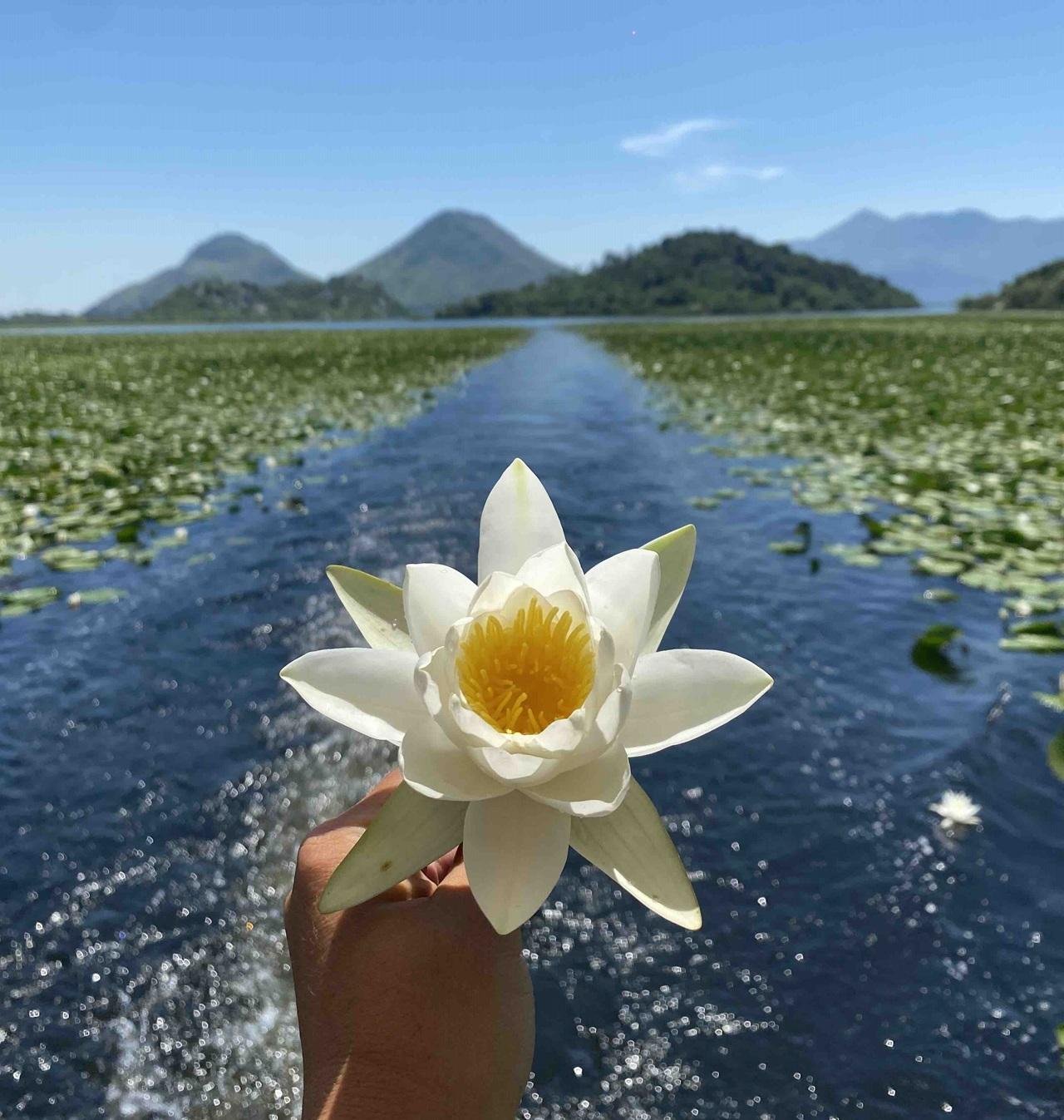 Skadar Lake Boat Cruise from Virpazar