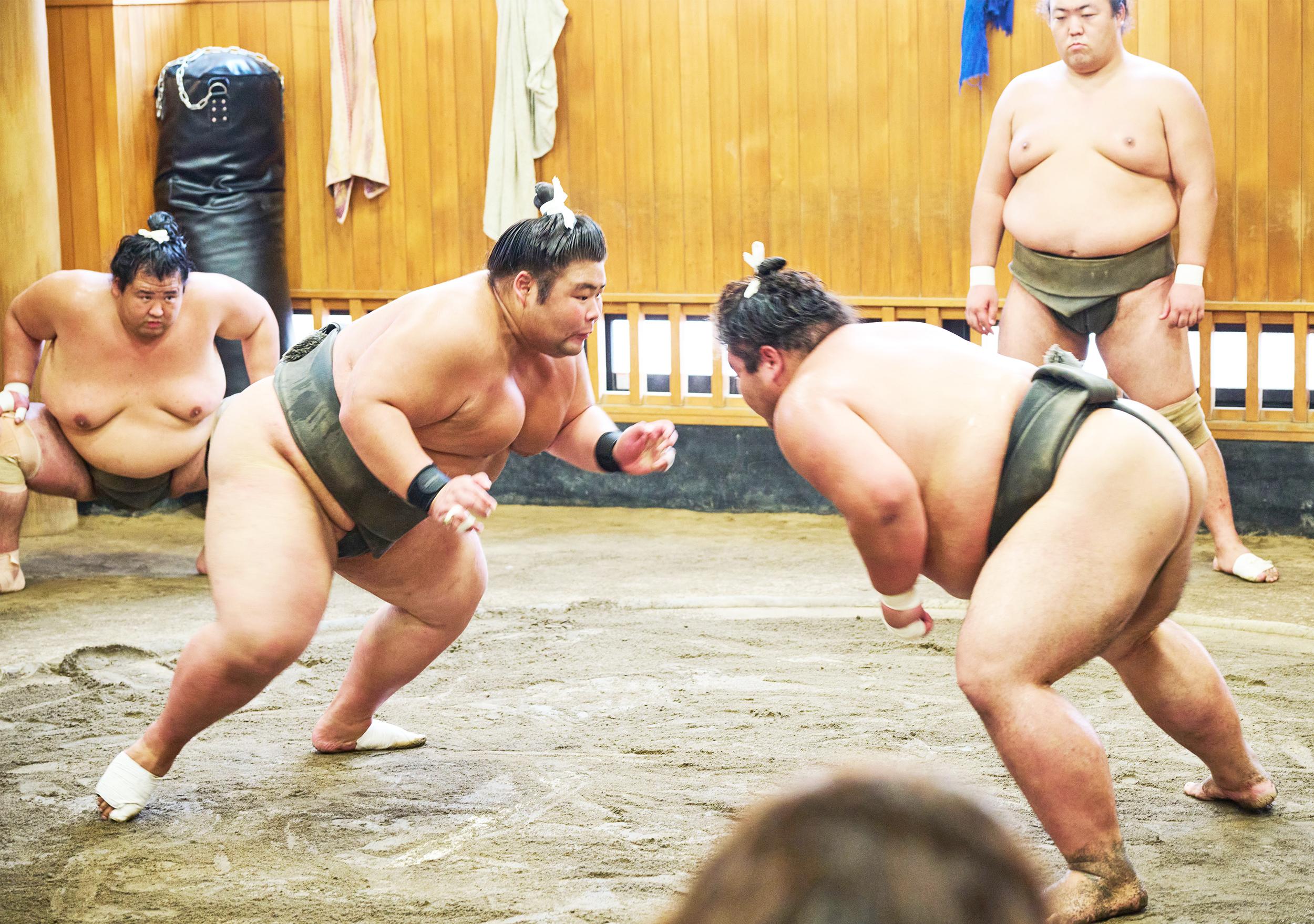 Tokyo: Sumo Morning Practice Viewing Tour at a Real Stable - 2026 (Verified Reviews)