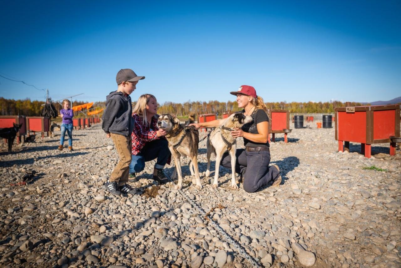 dog sledding in Talkeetna — photo 1