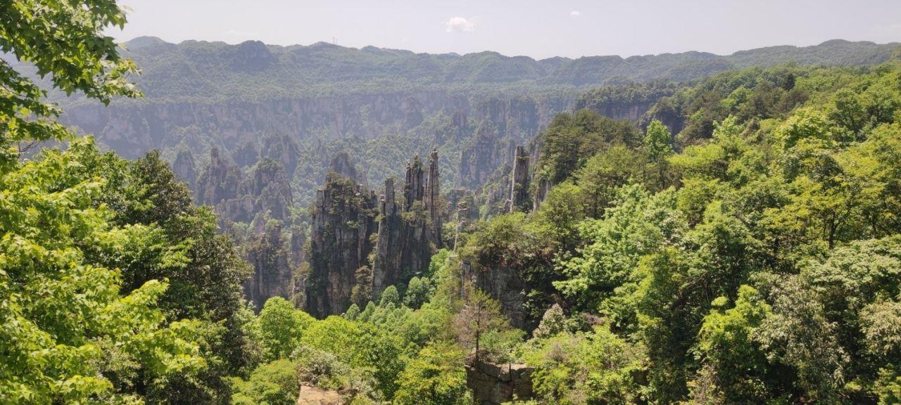 Zhangjiajie National Forest Park Private VIP Day Tour