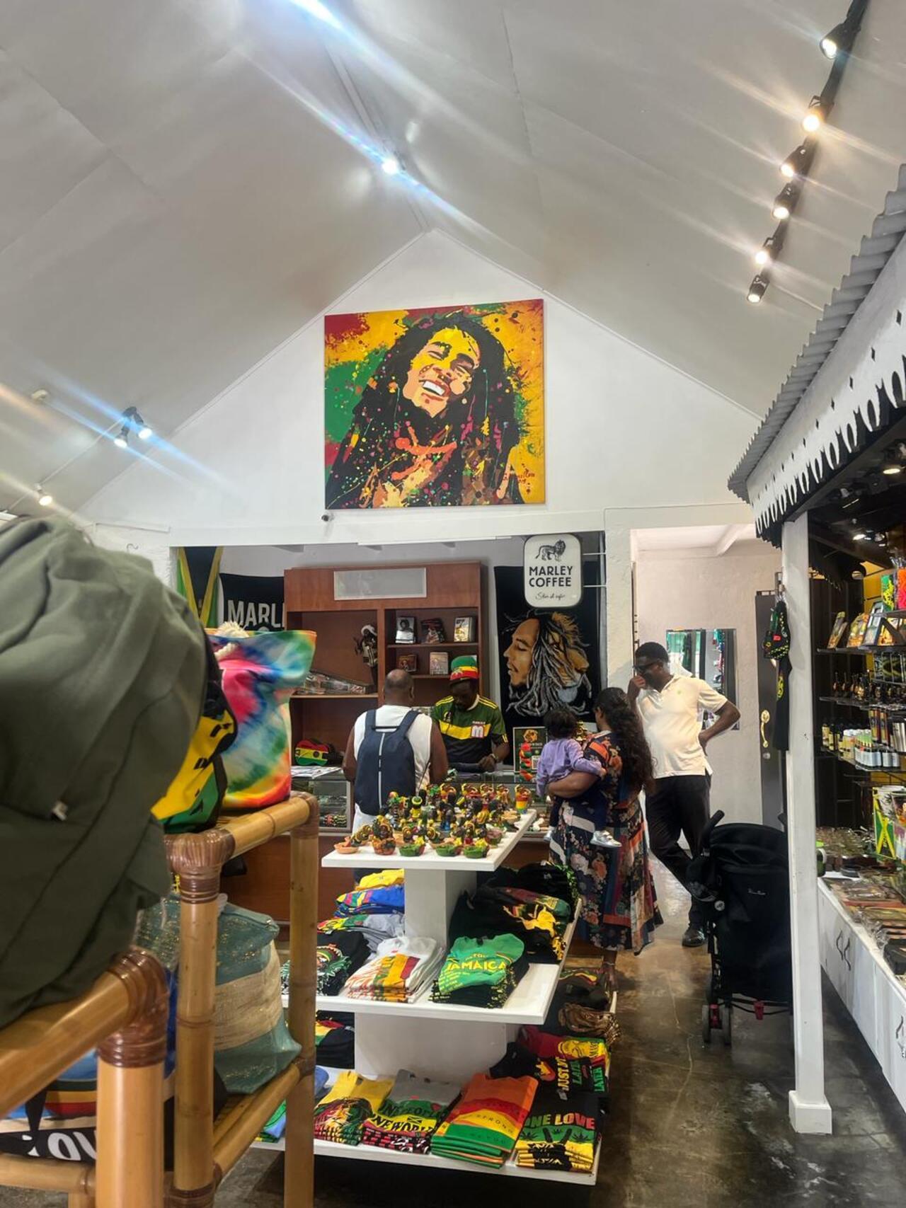 Nine Mile: Bob Marley Birthplace and Reggae Heritage Tour
