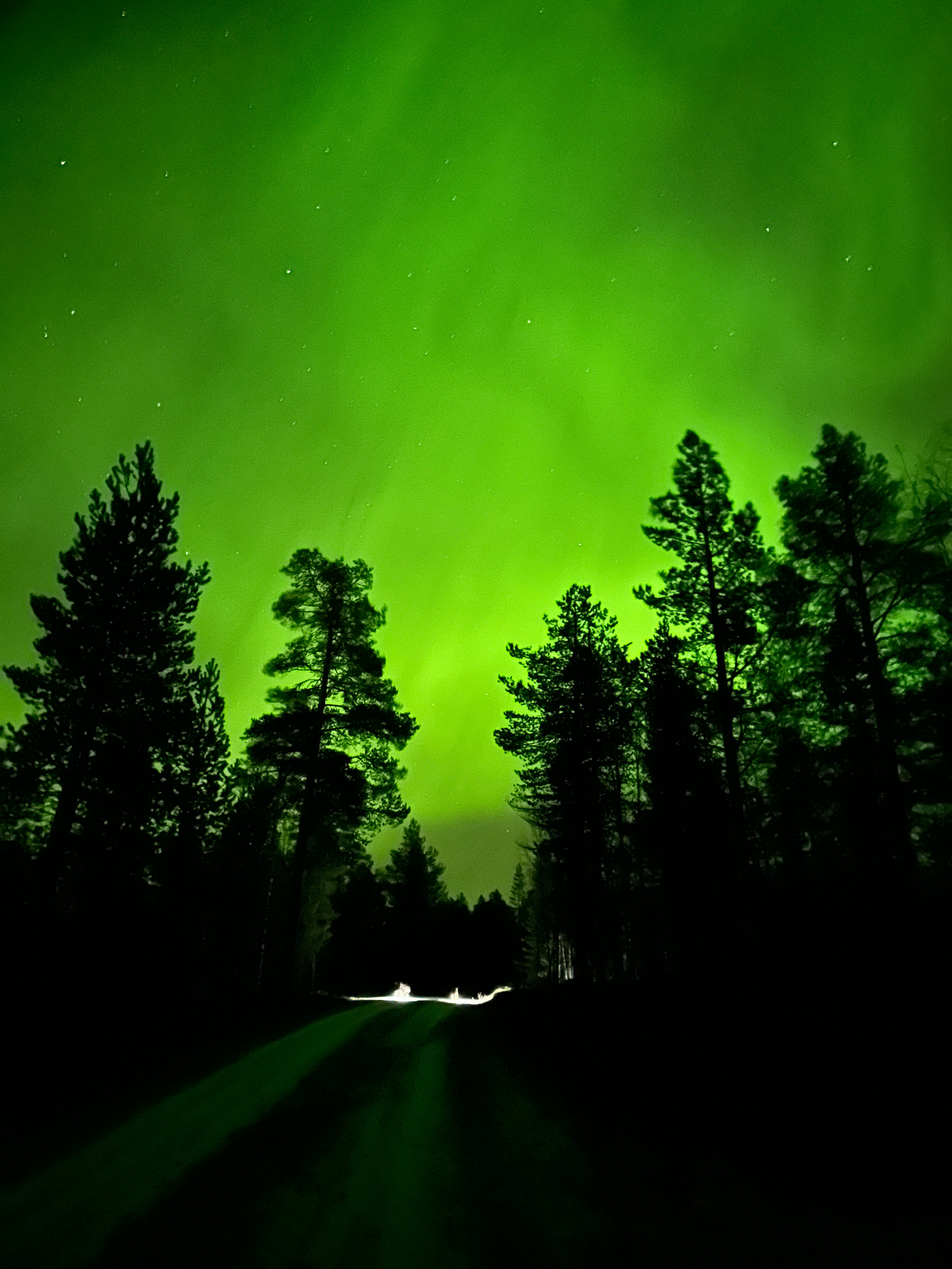 Northern lights tour, image 11