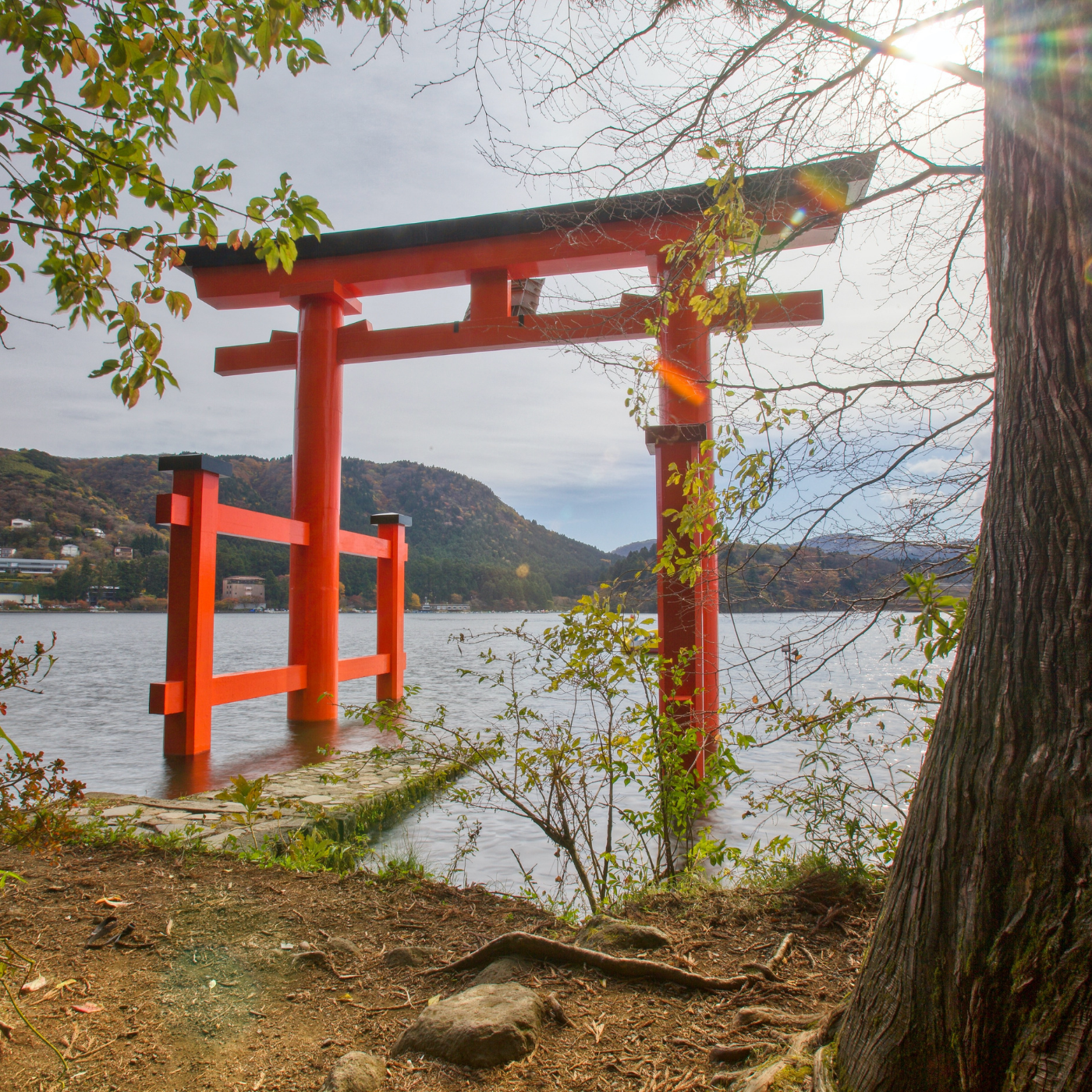Mt. Fuji Private Full-Day Tour from Tokyo