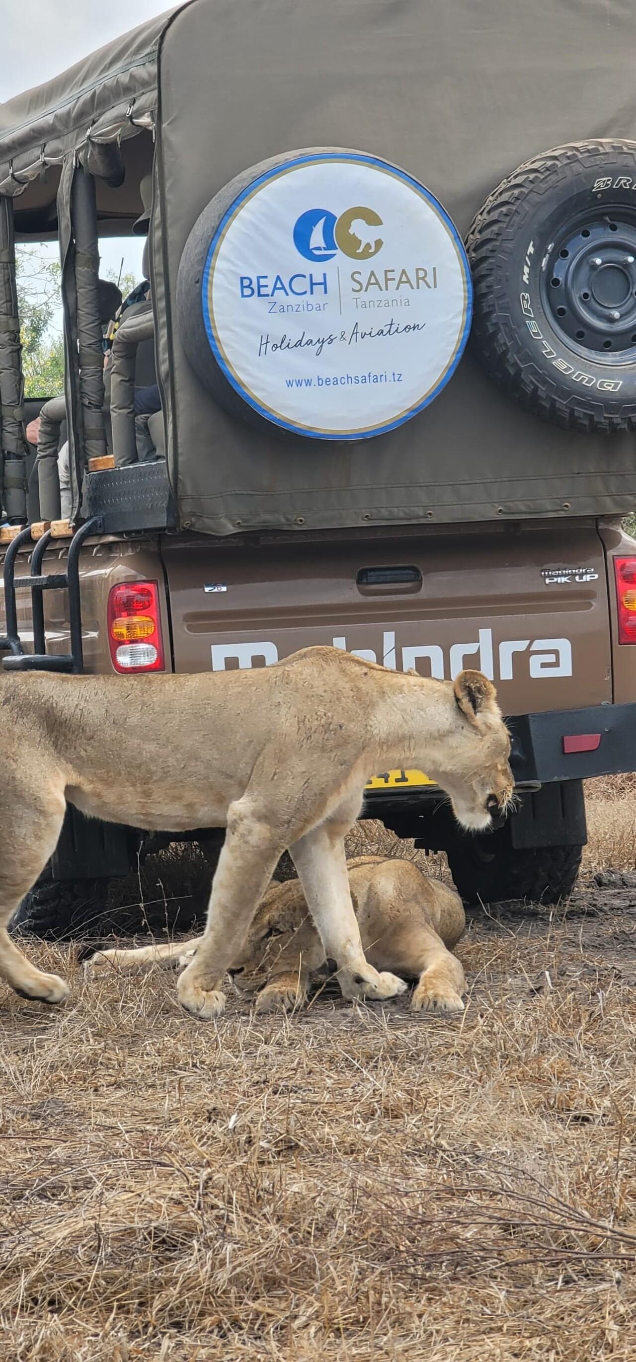Zanzibar to Selous: Full-Day Safari with Bush Lunch (+ 2-Day Option)