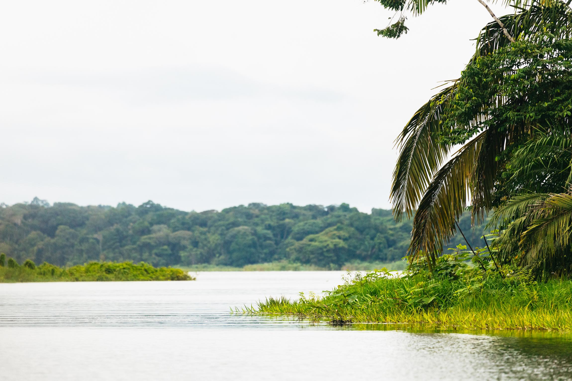 Panama City: Monkey Island Wildlife Boat Expedition