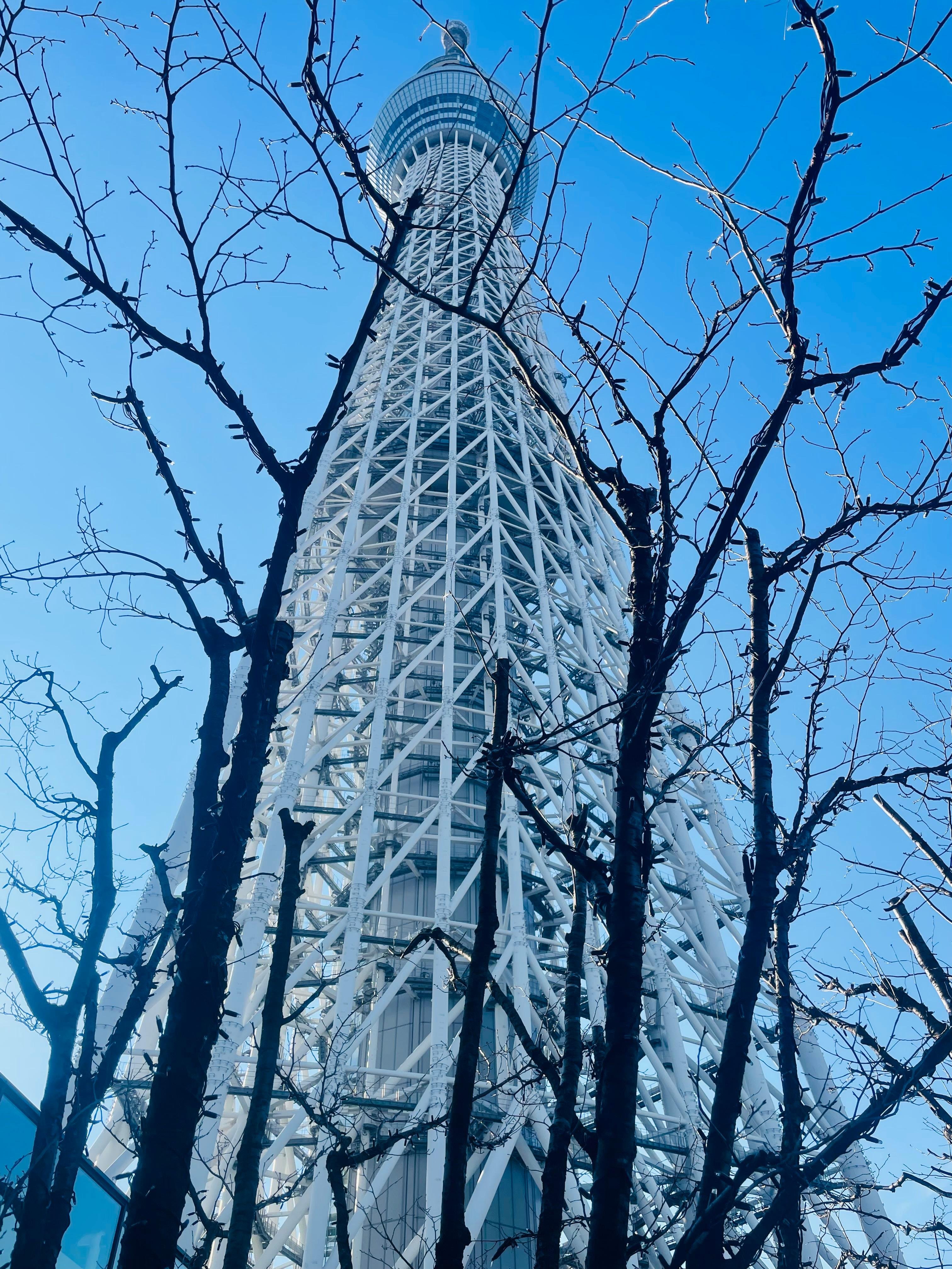 Tokyo Private Full-Day City Tour — Custom Itinerary with English Guide