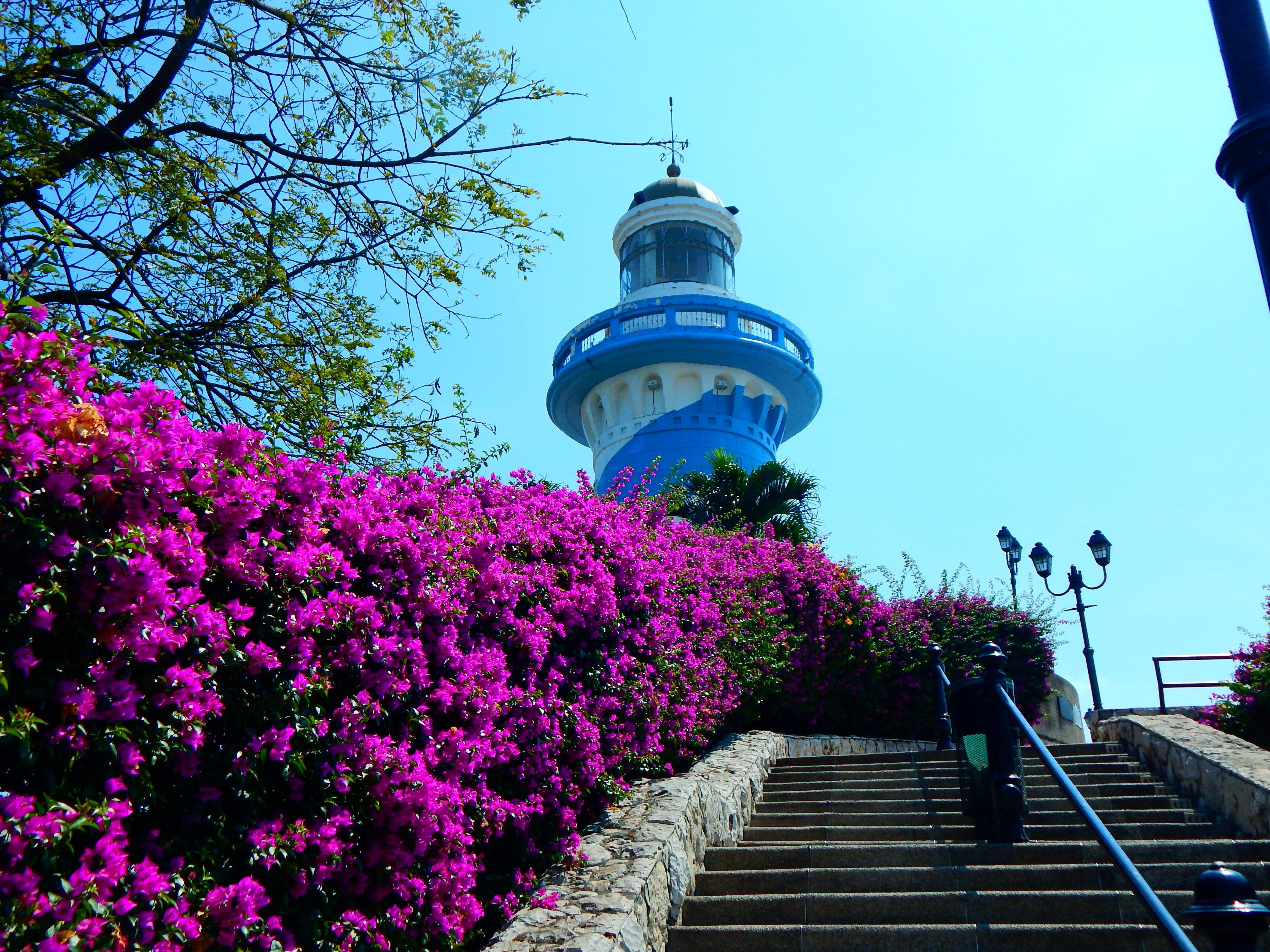Private Custom Guayaquil Sightseeing Tour