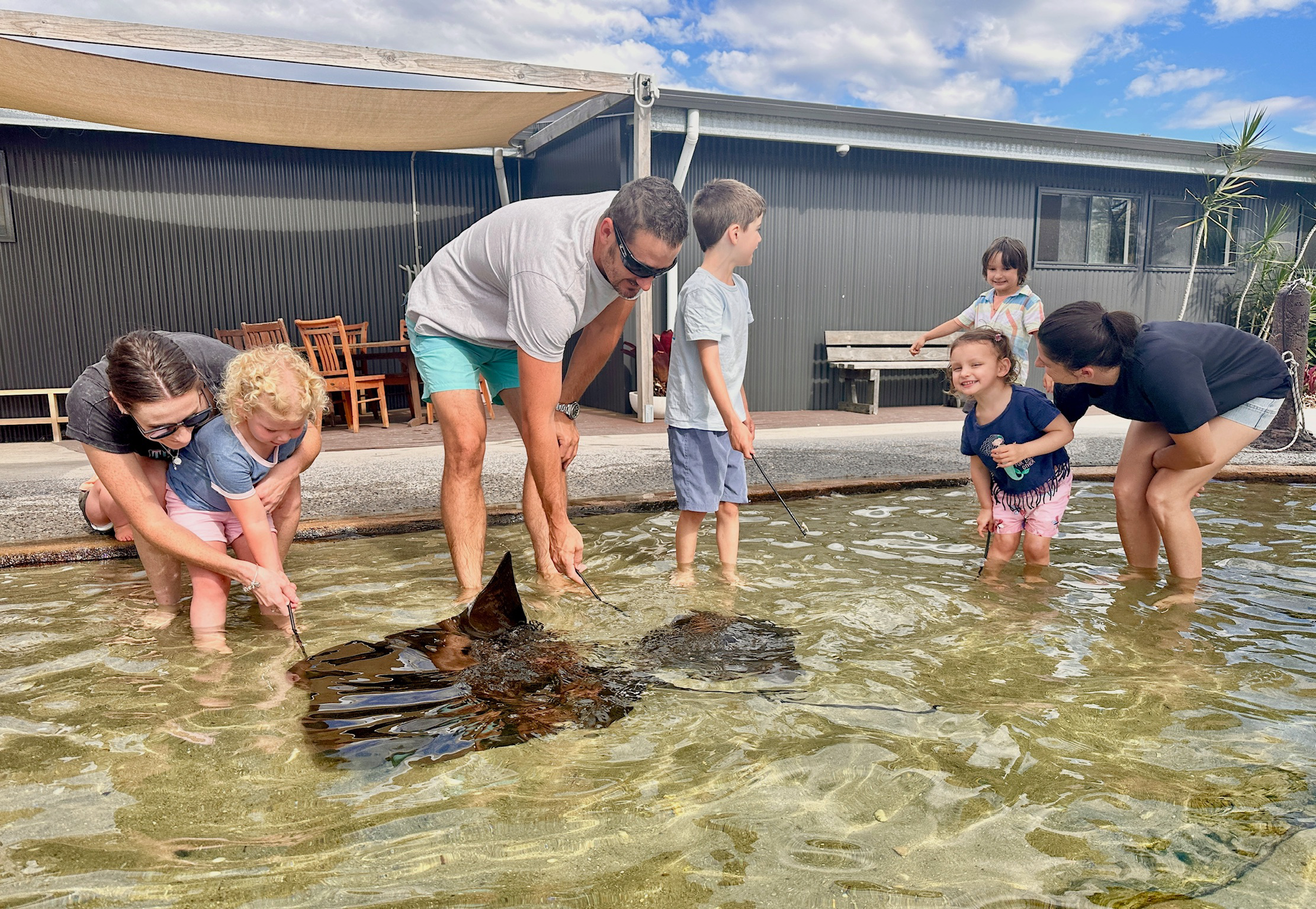 Irukandji Shark & Ray Shallows Experience – Anna Bay