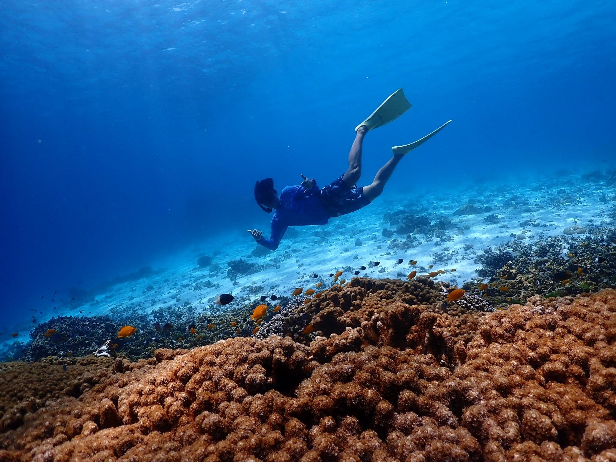 Similan Islands Full-Day Snorkeling Adventure from Khao Lak