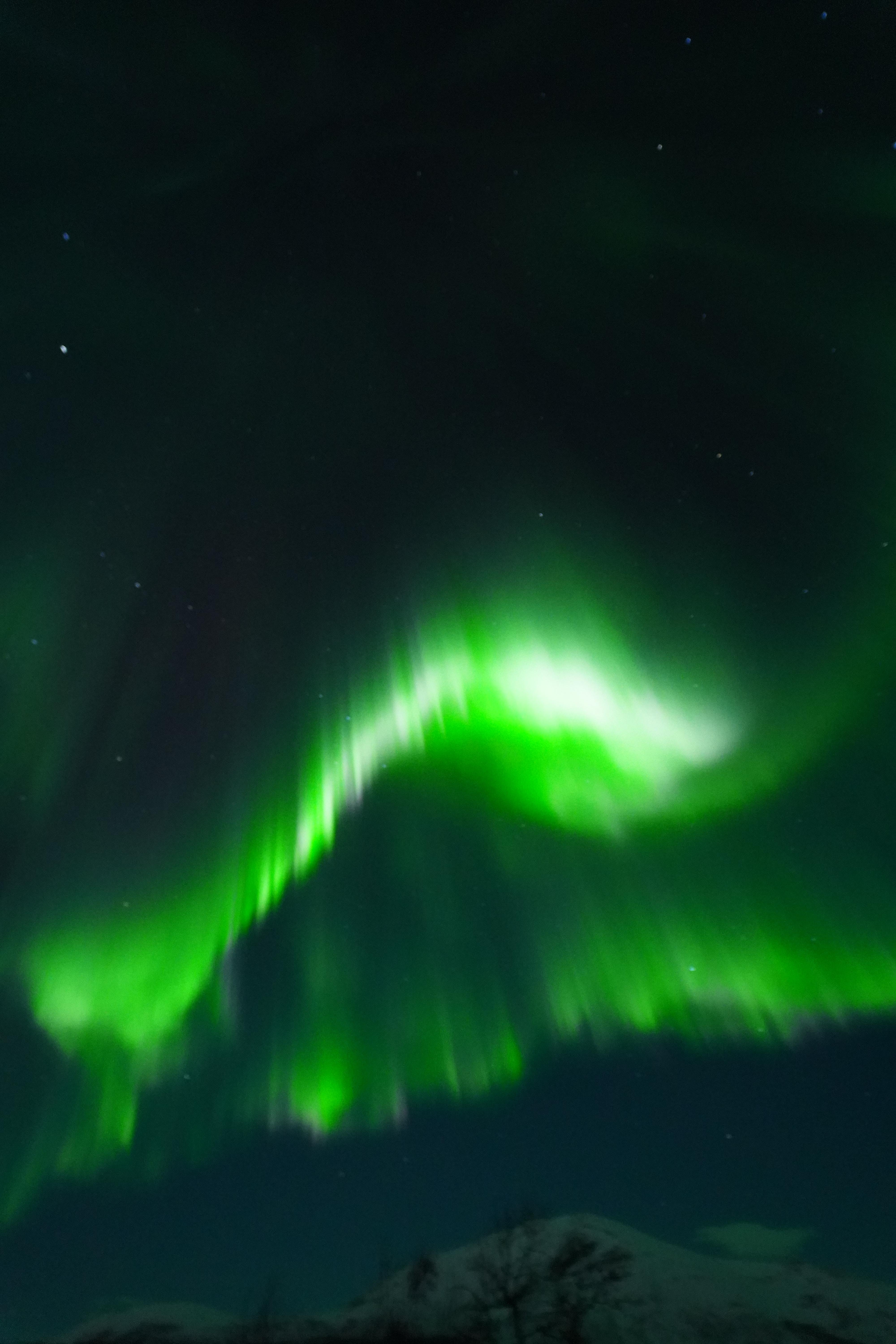 Northern lights tour, image 33