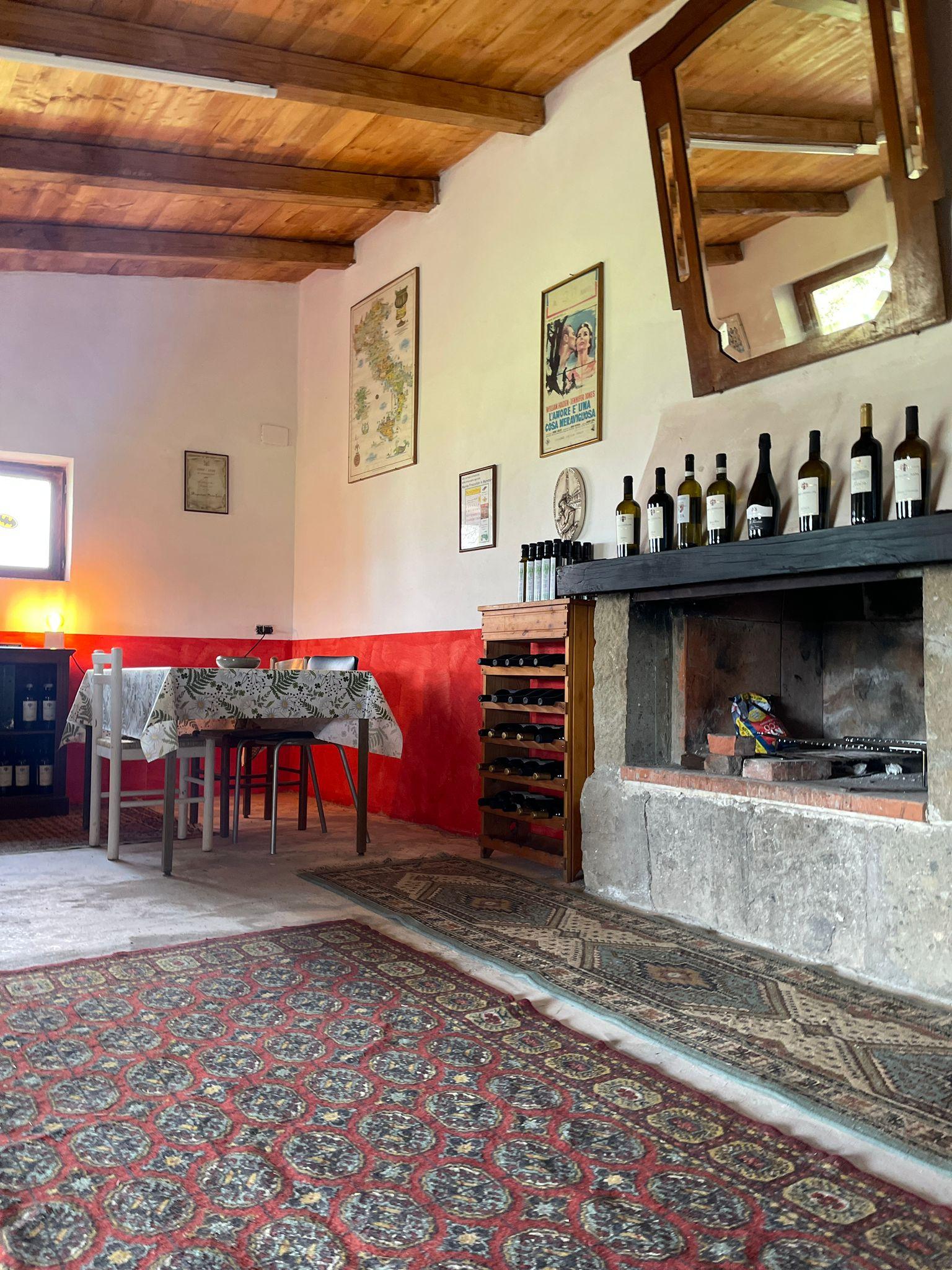 Frascati Vineyard Wine Tasting Experience