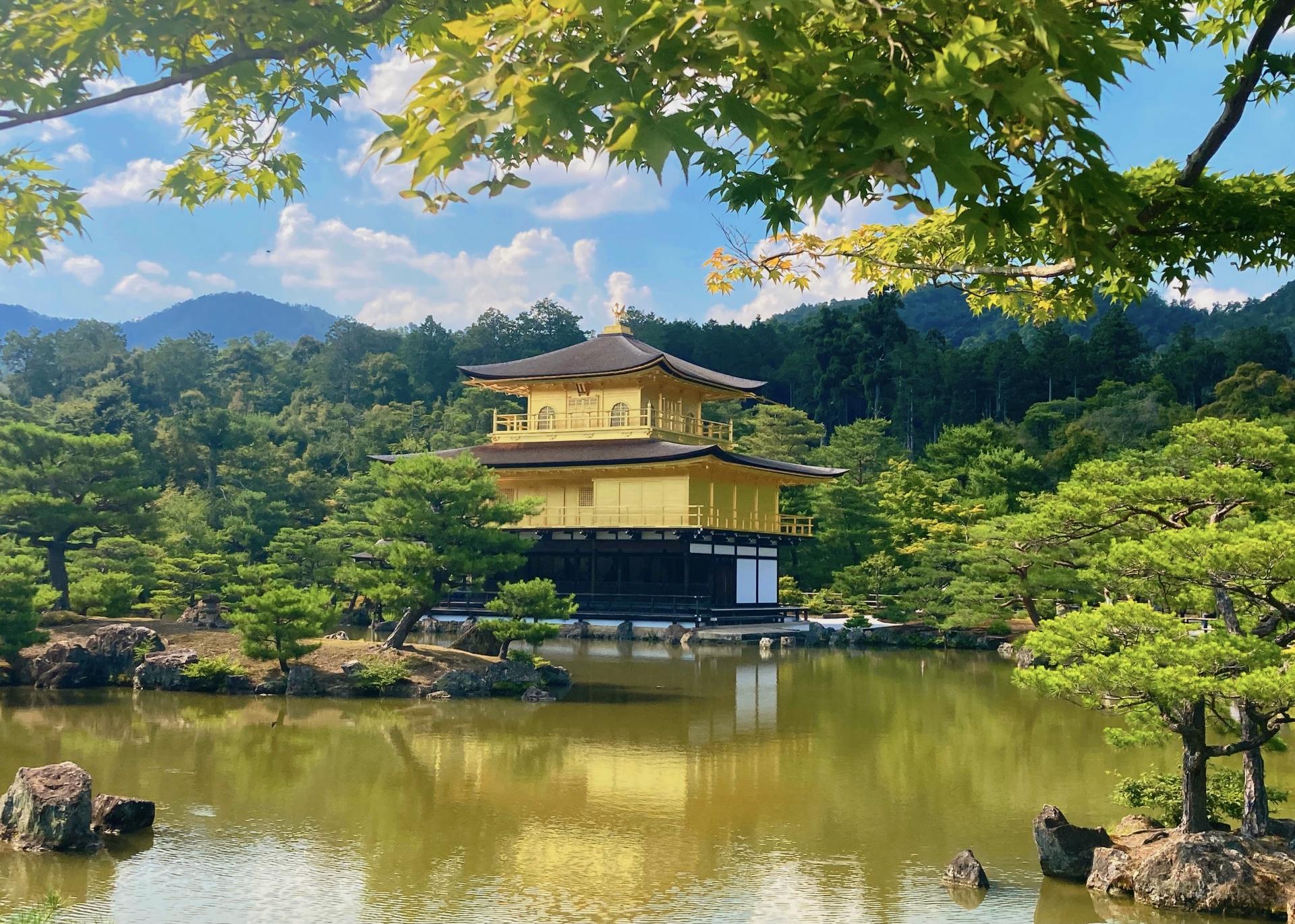 Classic Kyoto & Nara Day Tour from Osaka/Kyoto