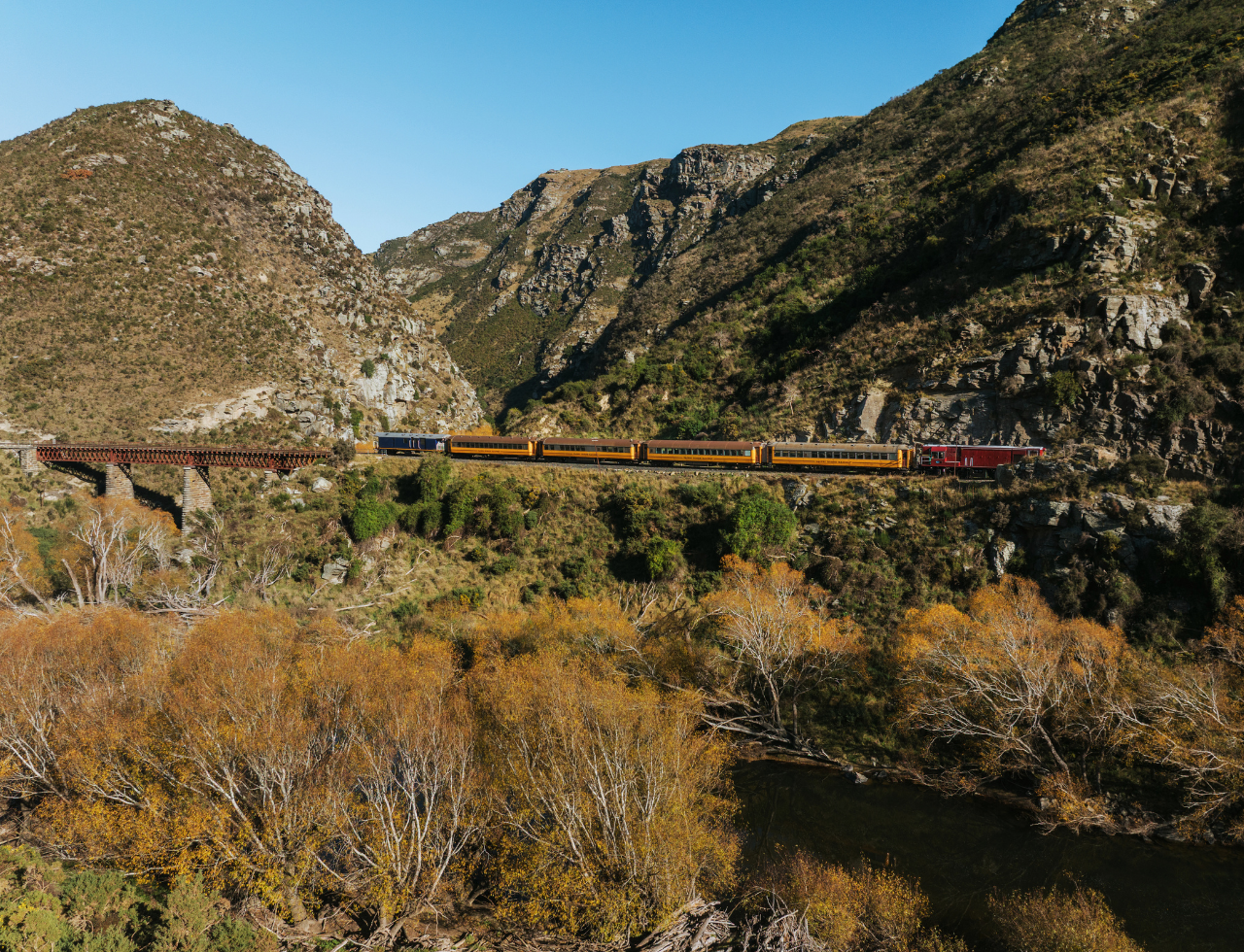 South Island guided tour photo — image 9