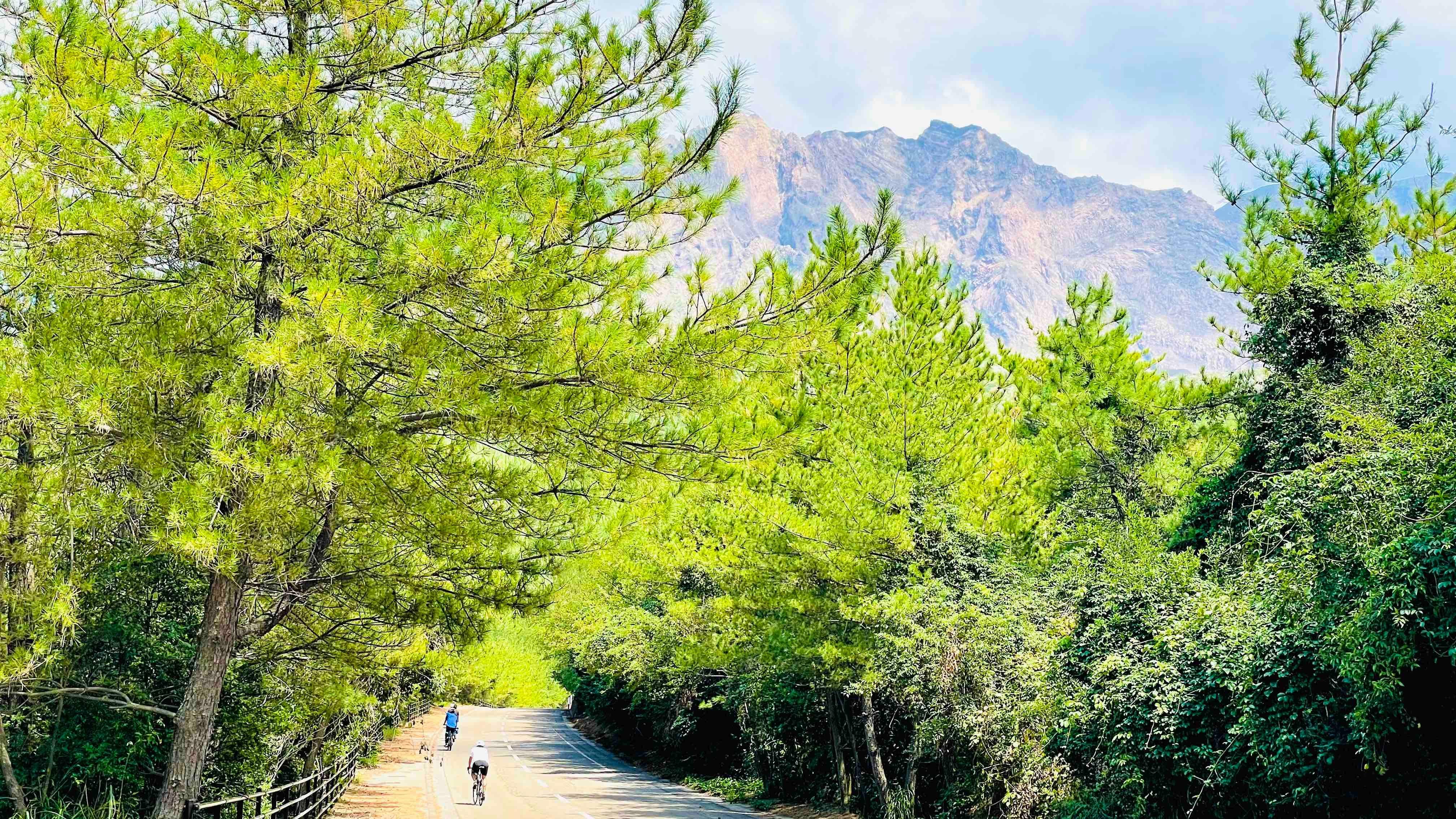 Sakurajima Volcano E-Bike Adventure