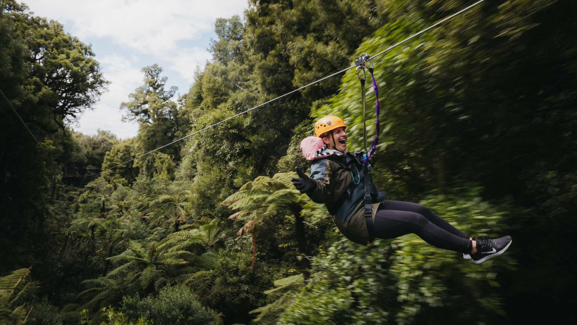 Original Canopy Tour: Zipline Adventure Through Ancient Forest