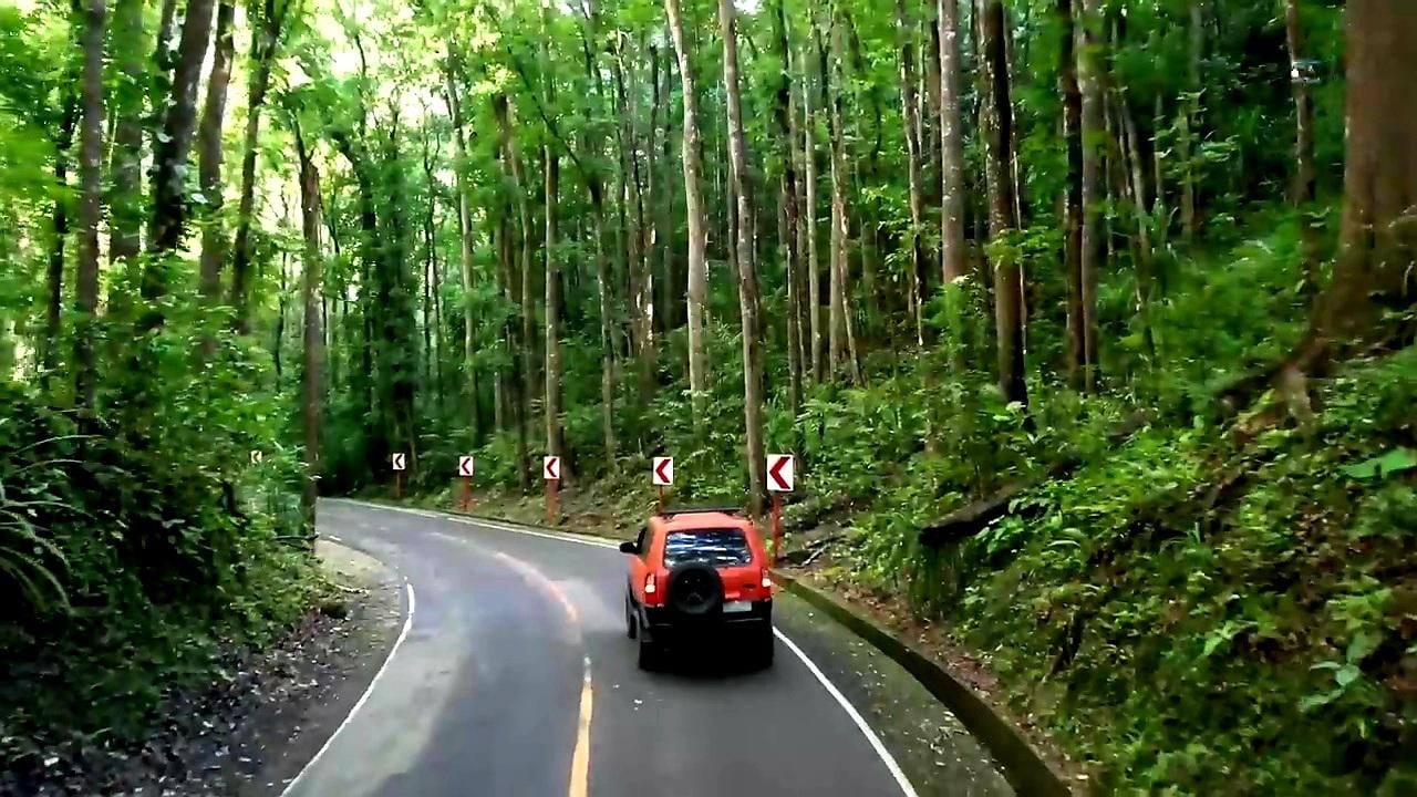 Bohol Countryside Day Tour from Cebu with Buffet Lunch