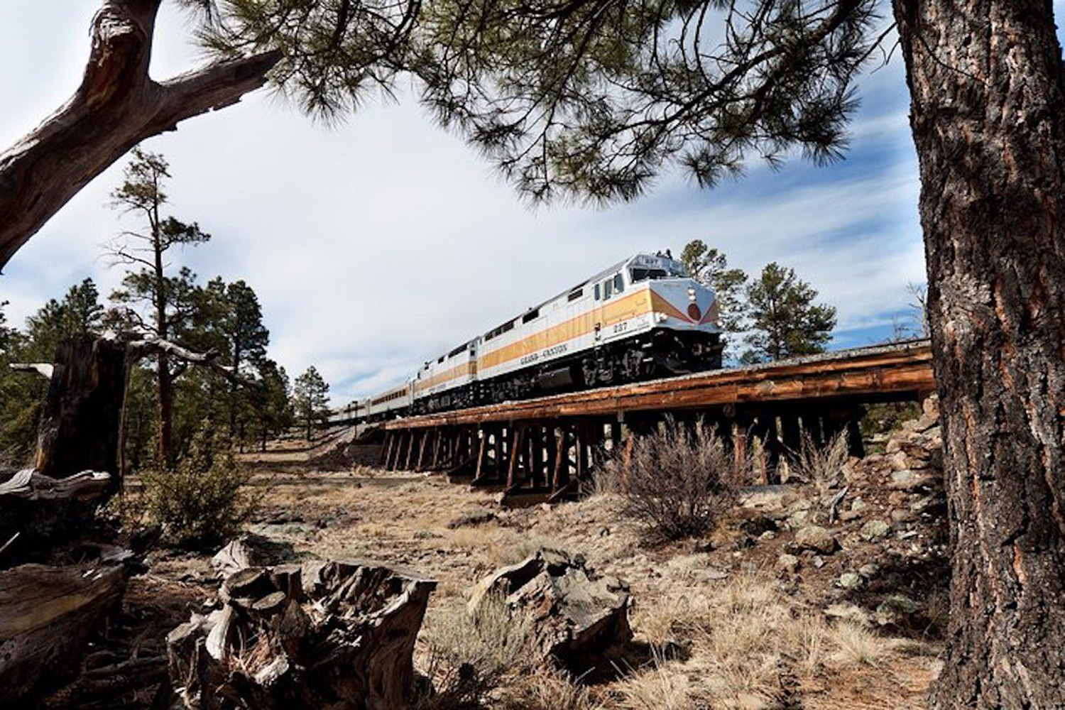Grand Canyon Railway and South Rim Guided Day Trip