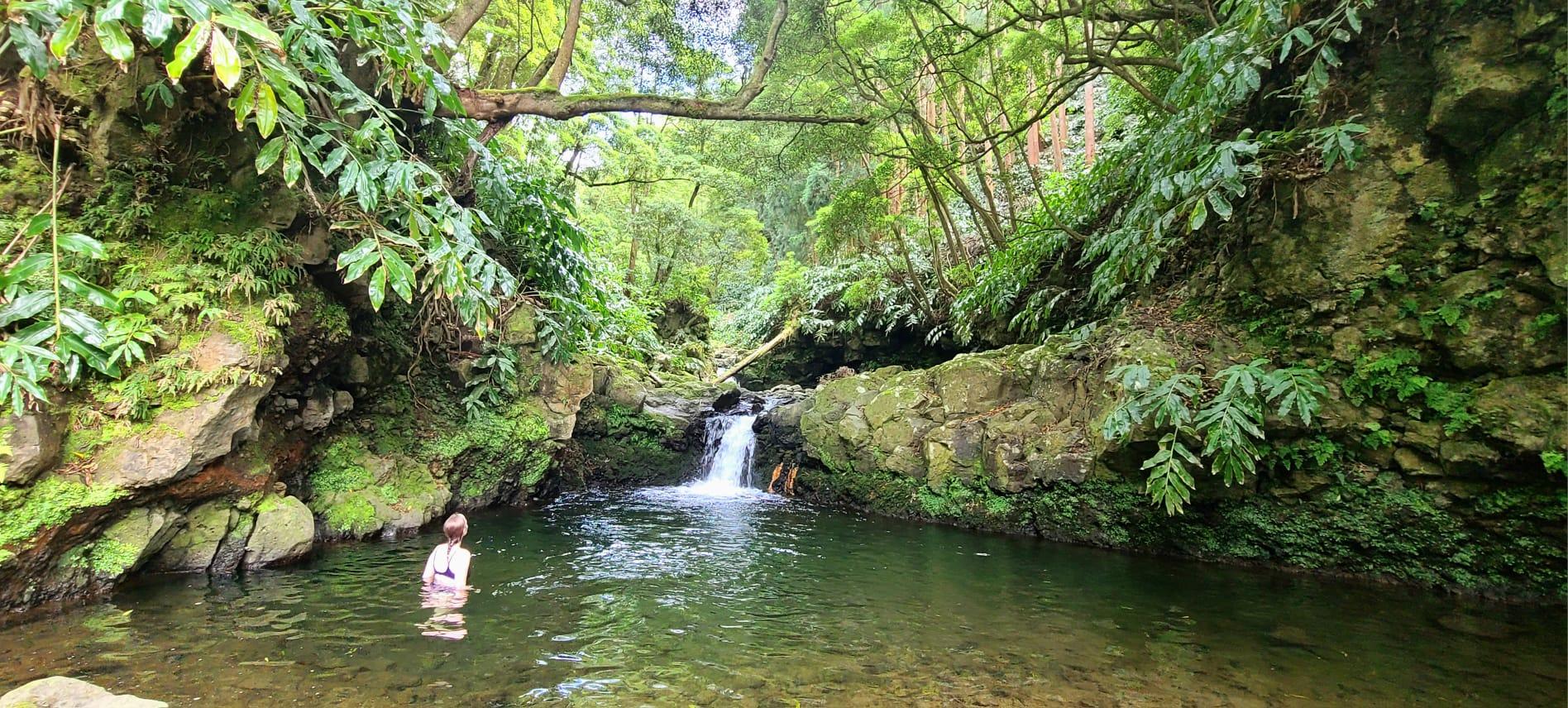 A swimmer in a natural pool below a small waterfall in dense greenery