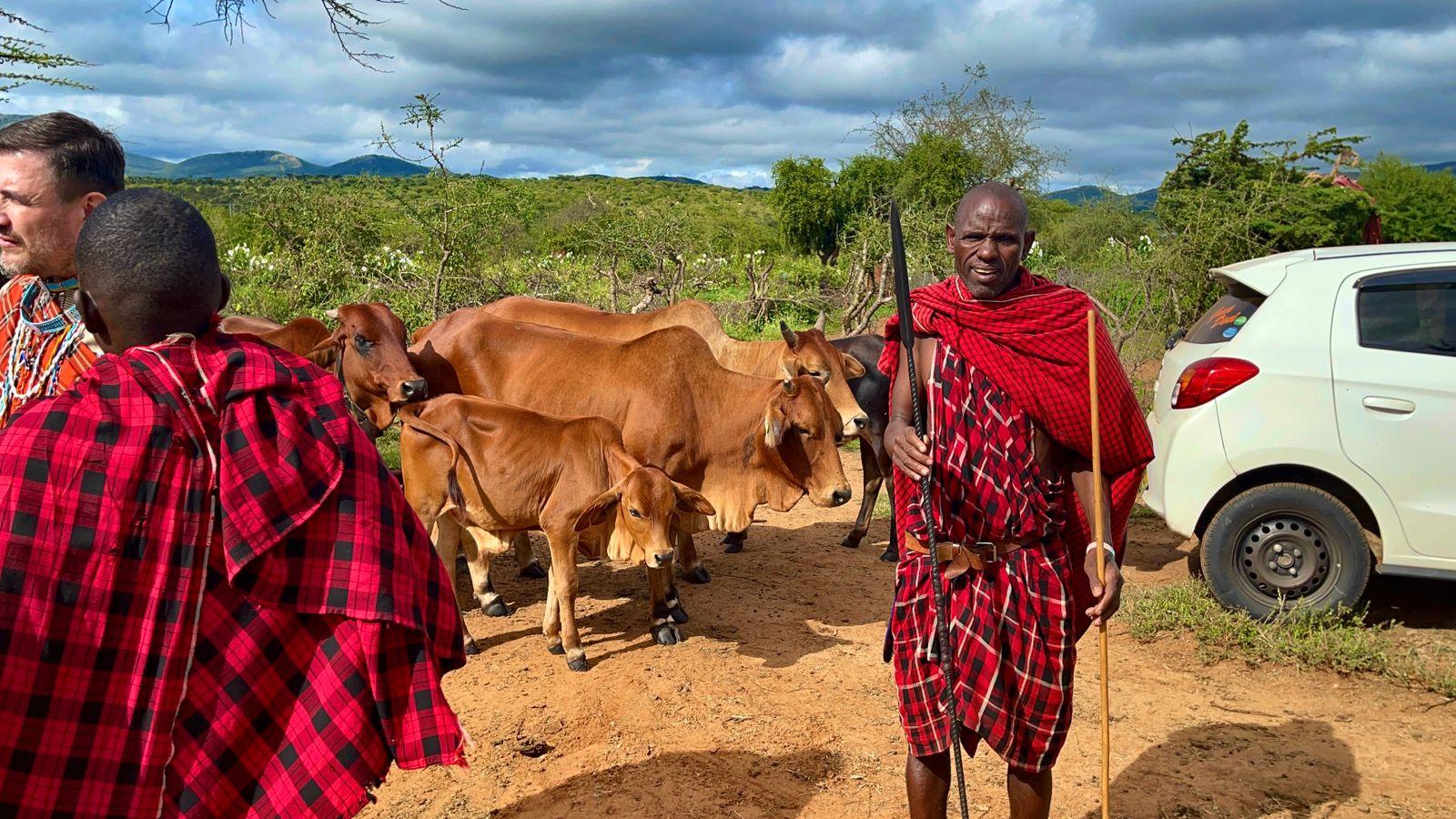 Maasai Tribal Village Cultural Experience & Traditional Dance