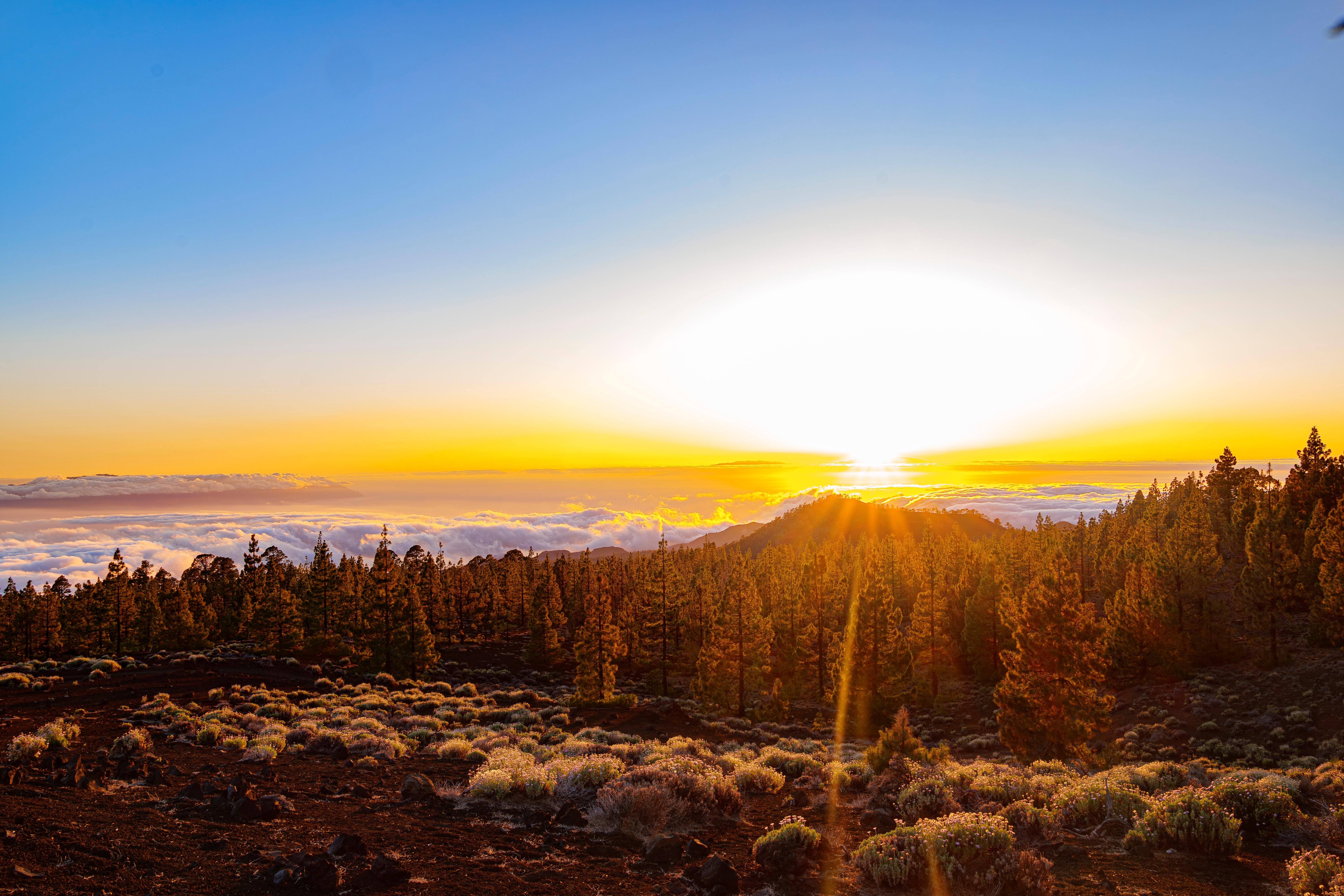 Mount Teide 3-Hour Guided Quad Adventure