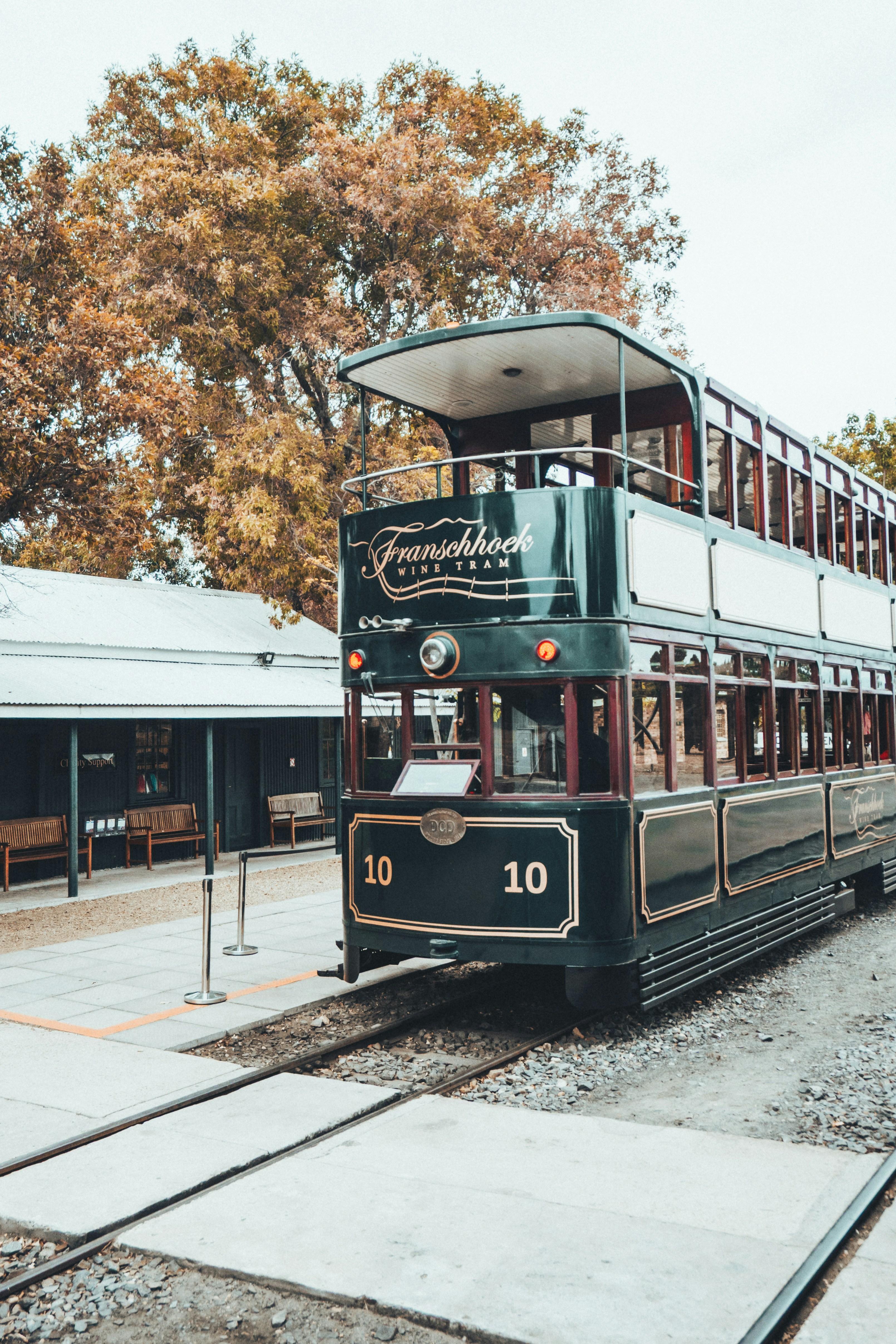 Cape Winelands Full-Day Wine Tour