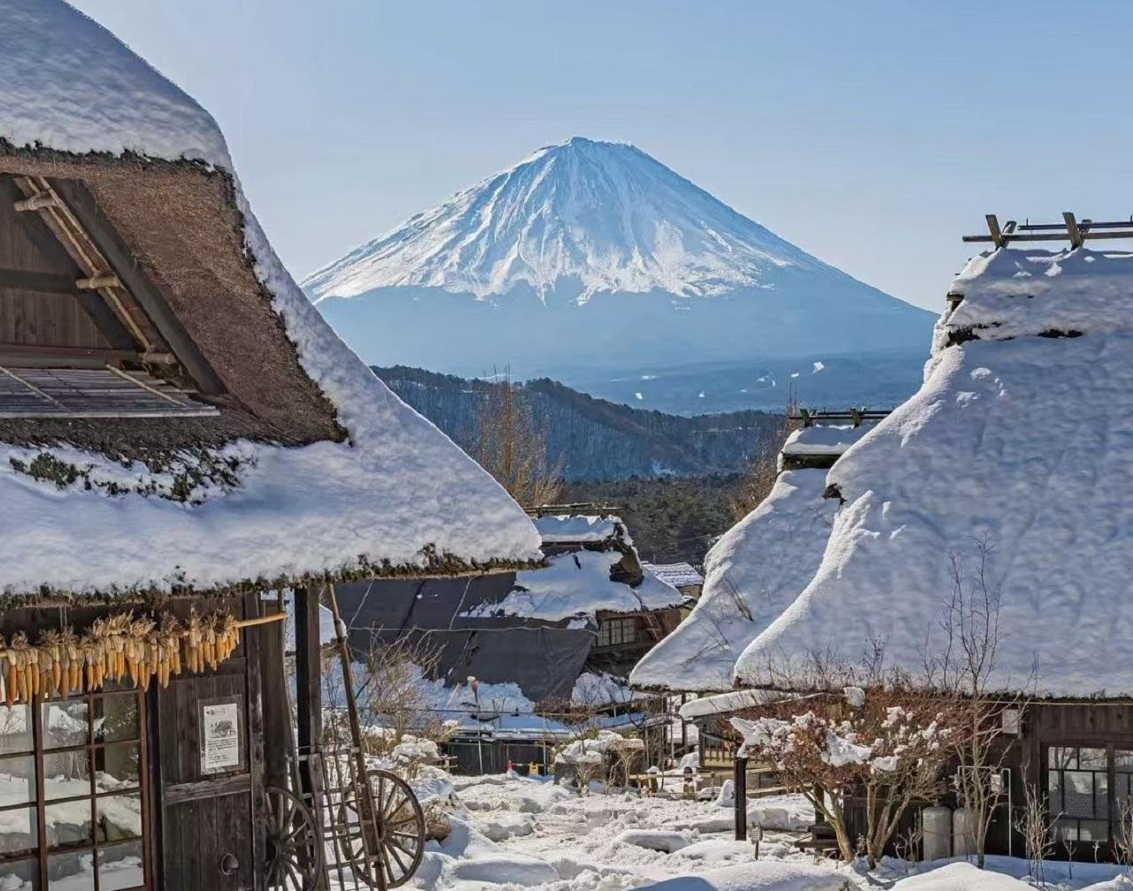 Mt. Fuji Heritage & Culture Day Trip