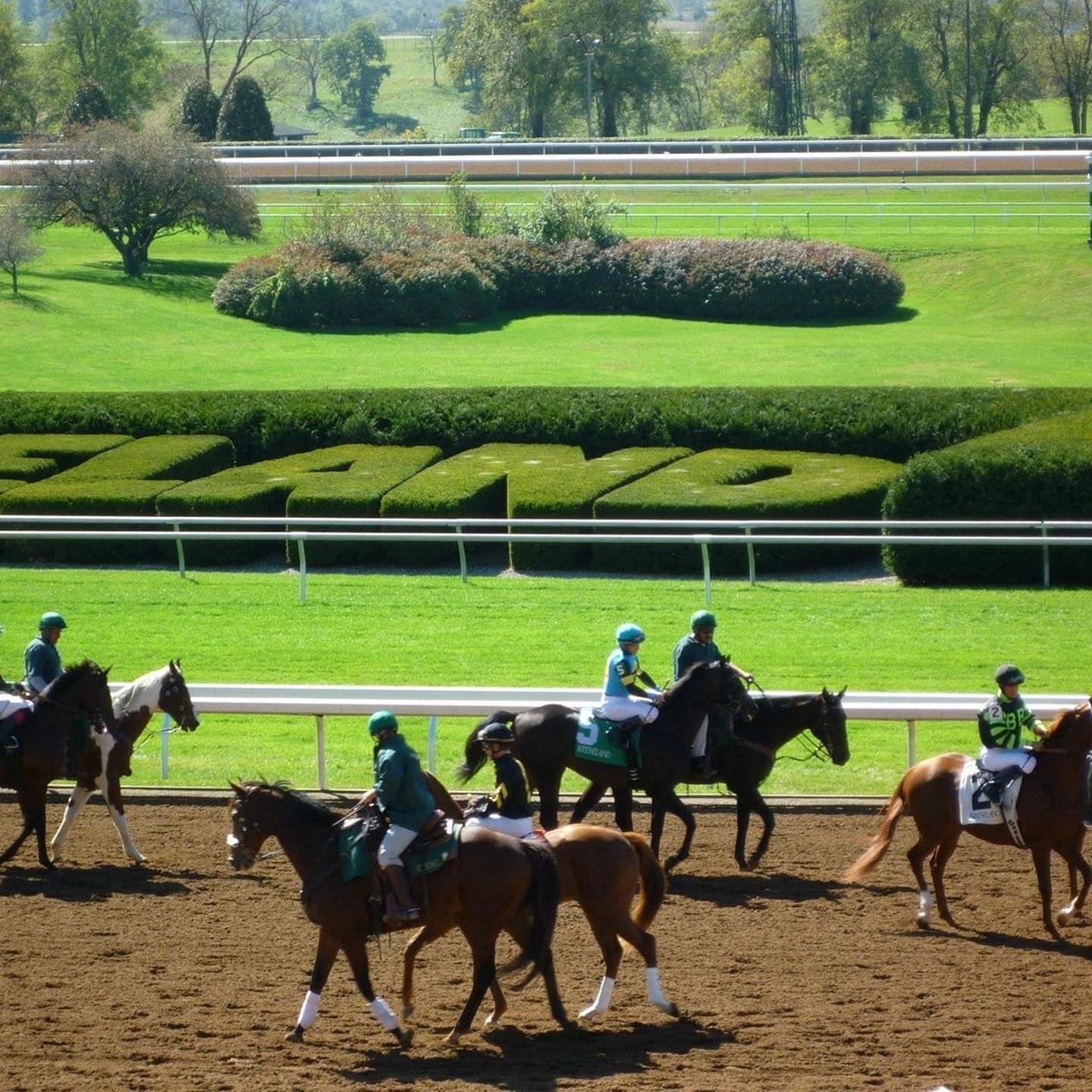 Kentucky Horse Country Day: Racetrack Tour & Guided Trail Ride