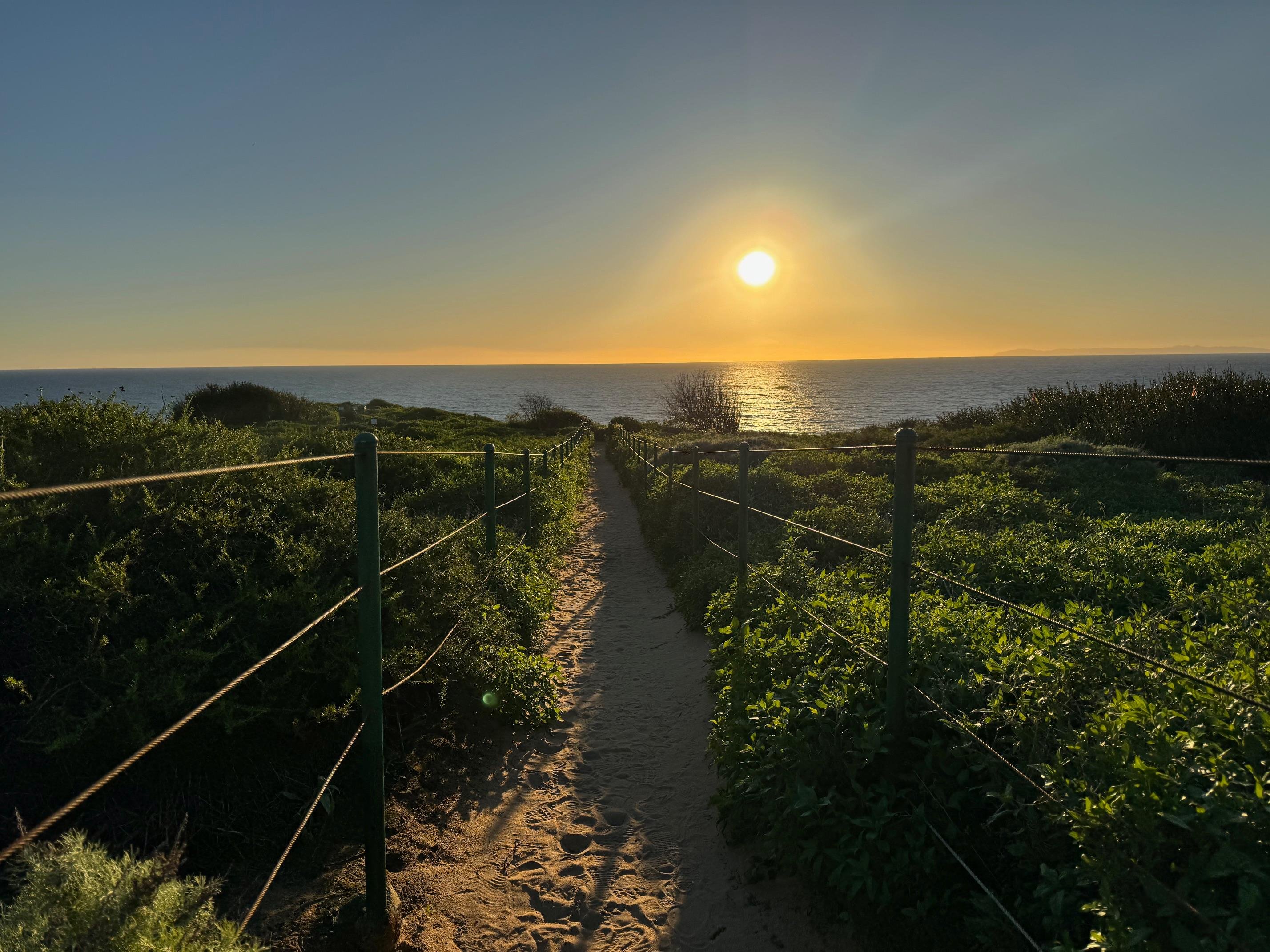 Dana Point Coastal Ecology & Hiking Experience