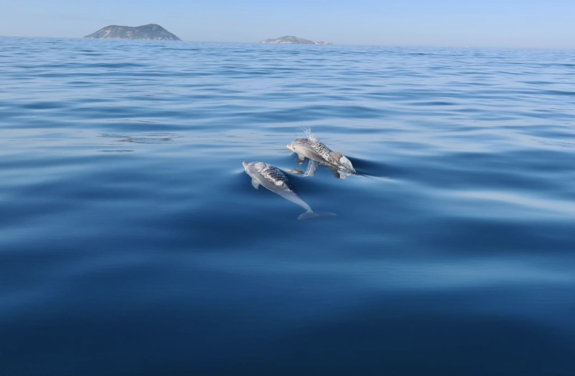 King George Sound Summer Catamaran Cruise