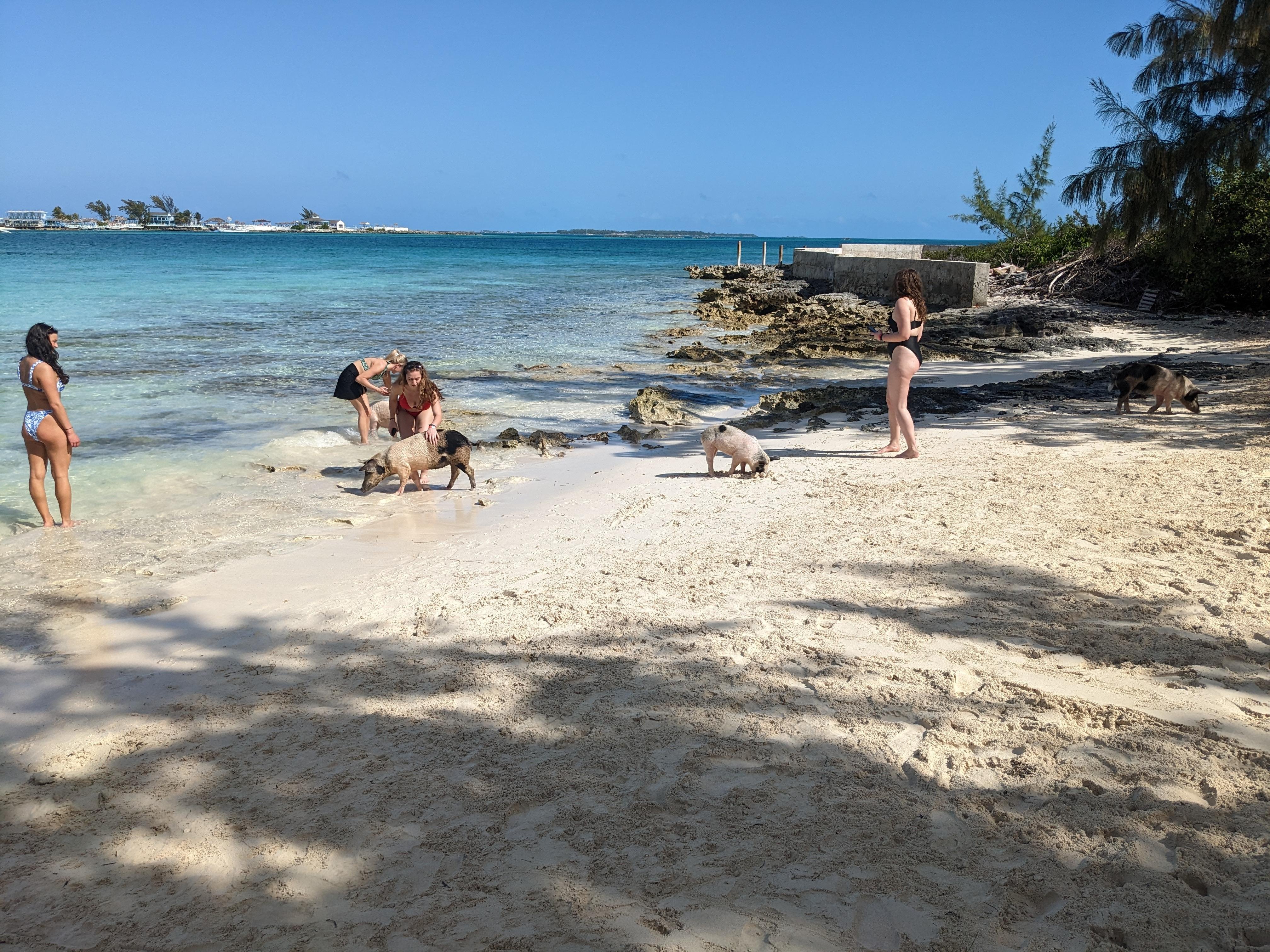 Nassau Catamaran Adventure: Swimming Pigs, Turtles & Snorkeling