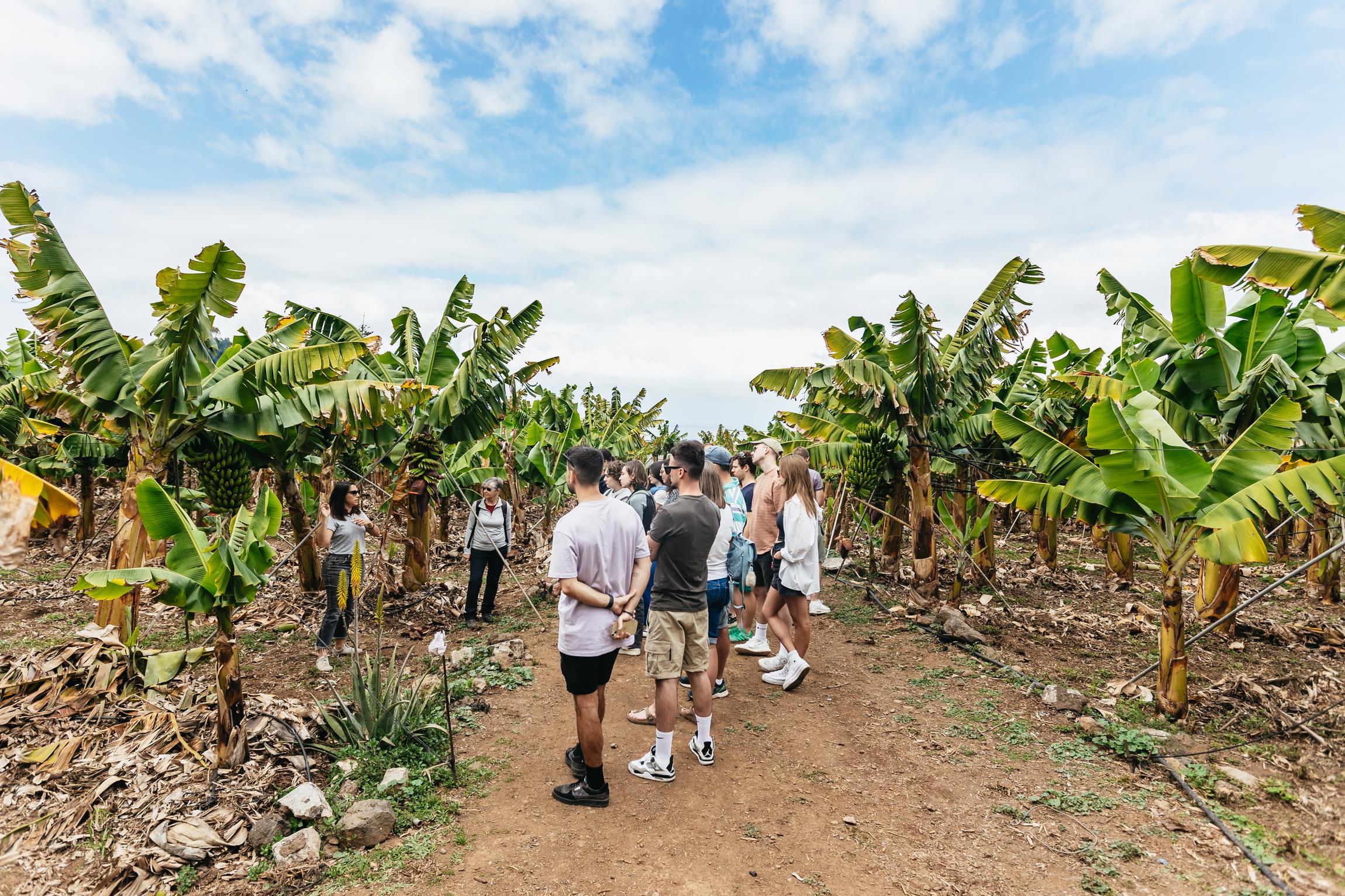Eco Banana Plantation Tour with Tasting