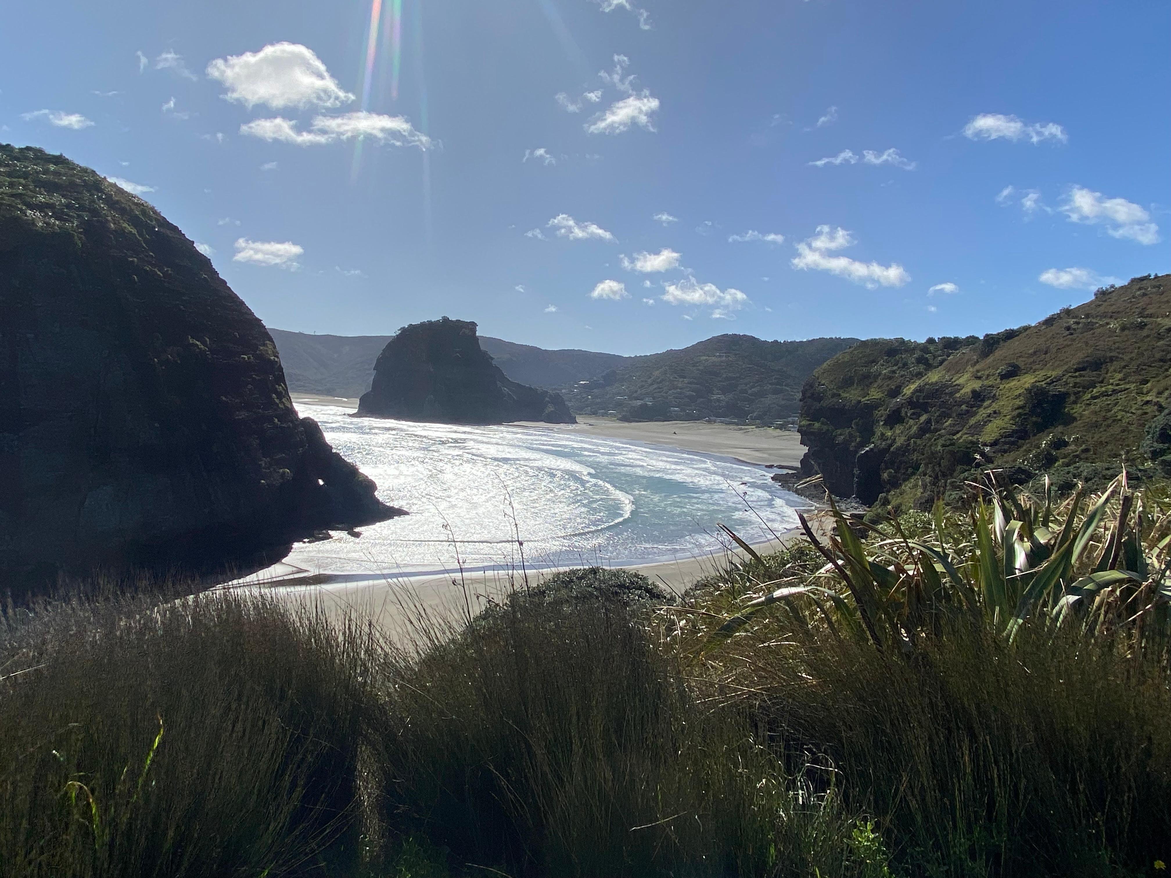 Piha & Karekare West Coast Private Tour